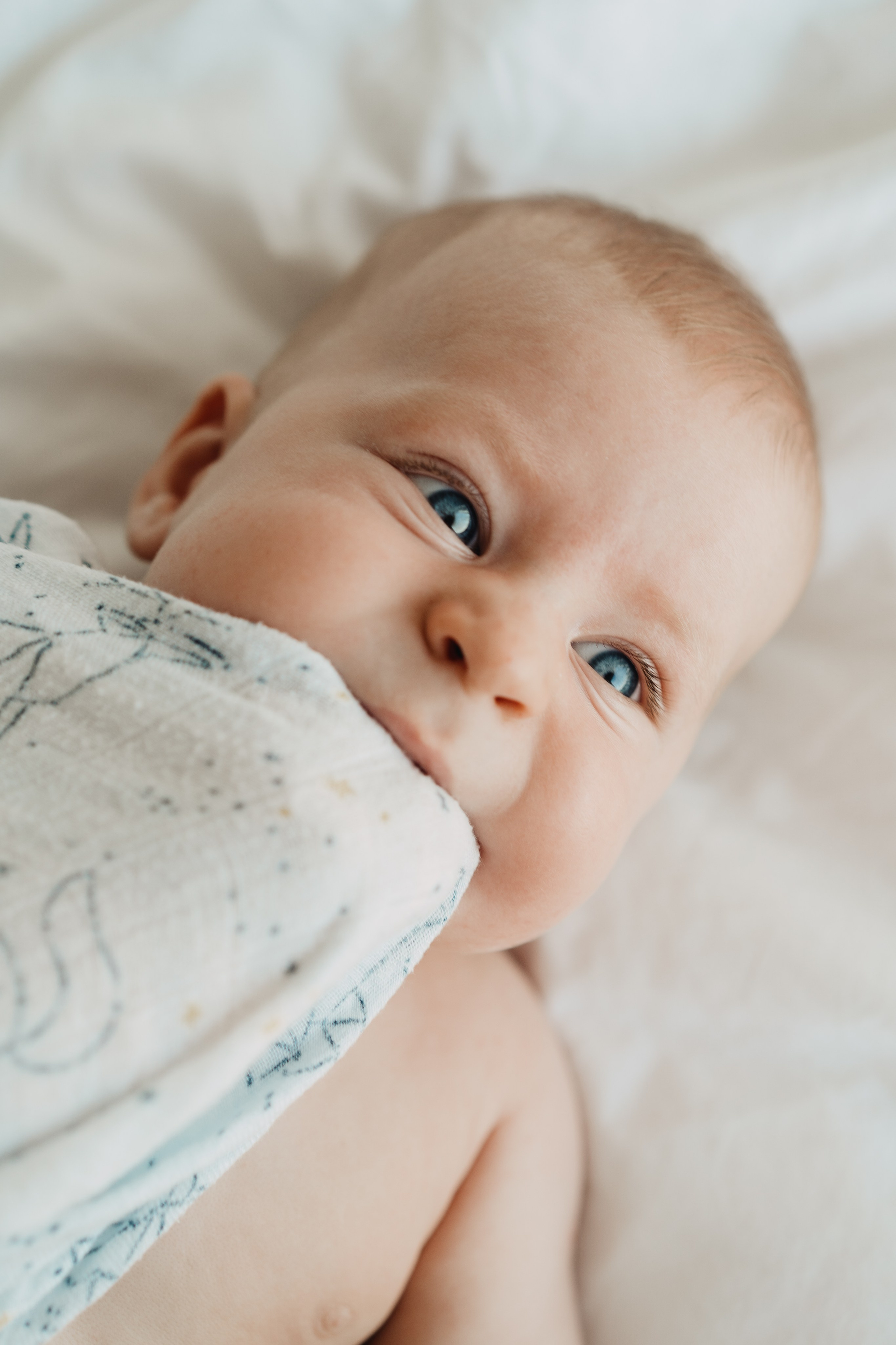 Home. Elena Baturina Photography