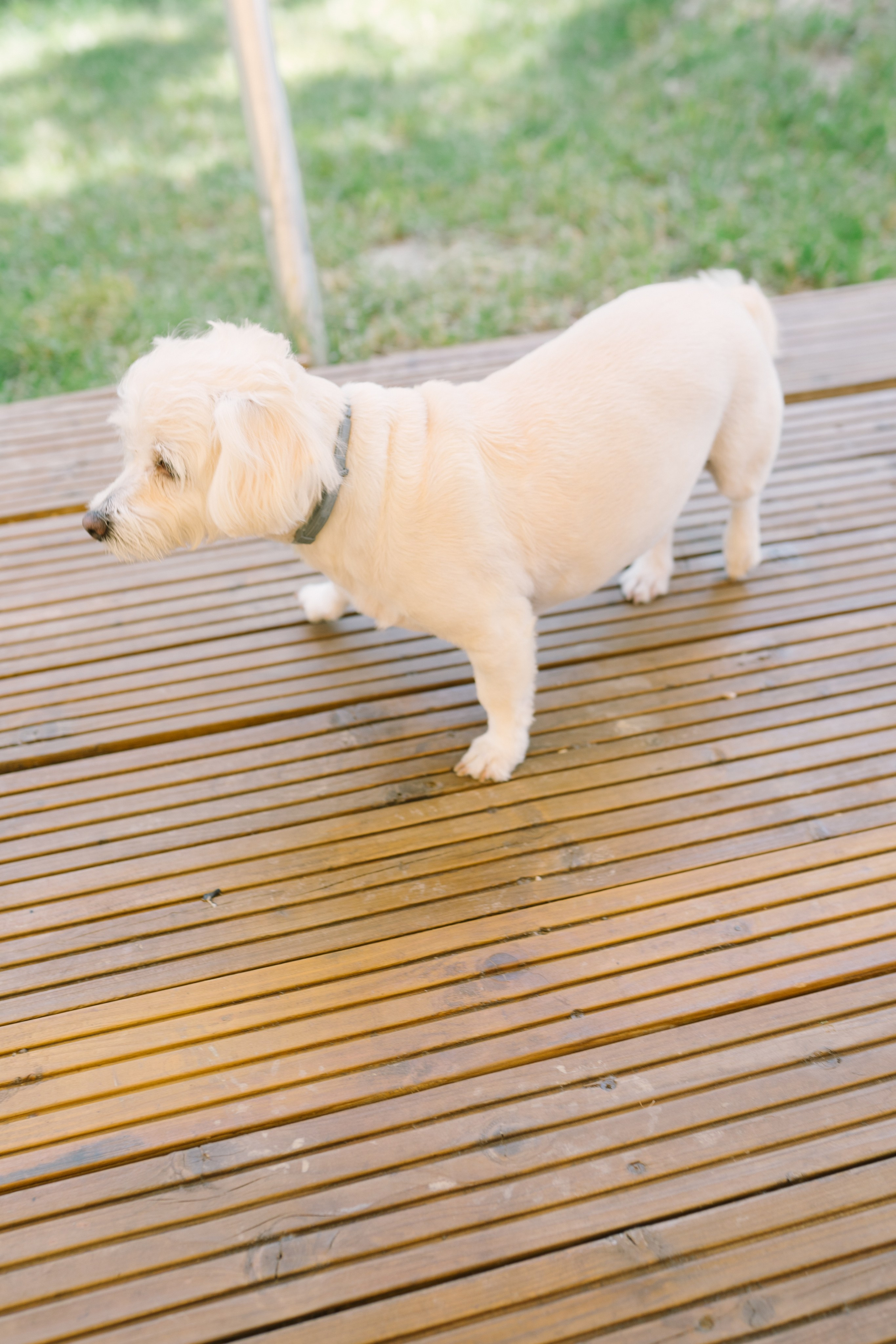 Fotografie de Eveniment Brașov: Povești Vizuale | Mădălina Beda. Madalina Beda- Artist vizual, fotograf, doula la nastere, consultant babywearing Brasov si in toata tara