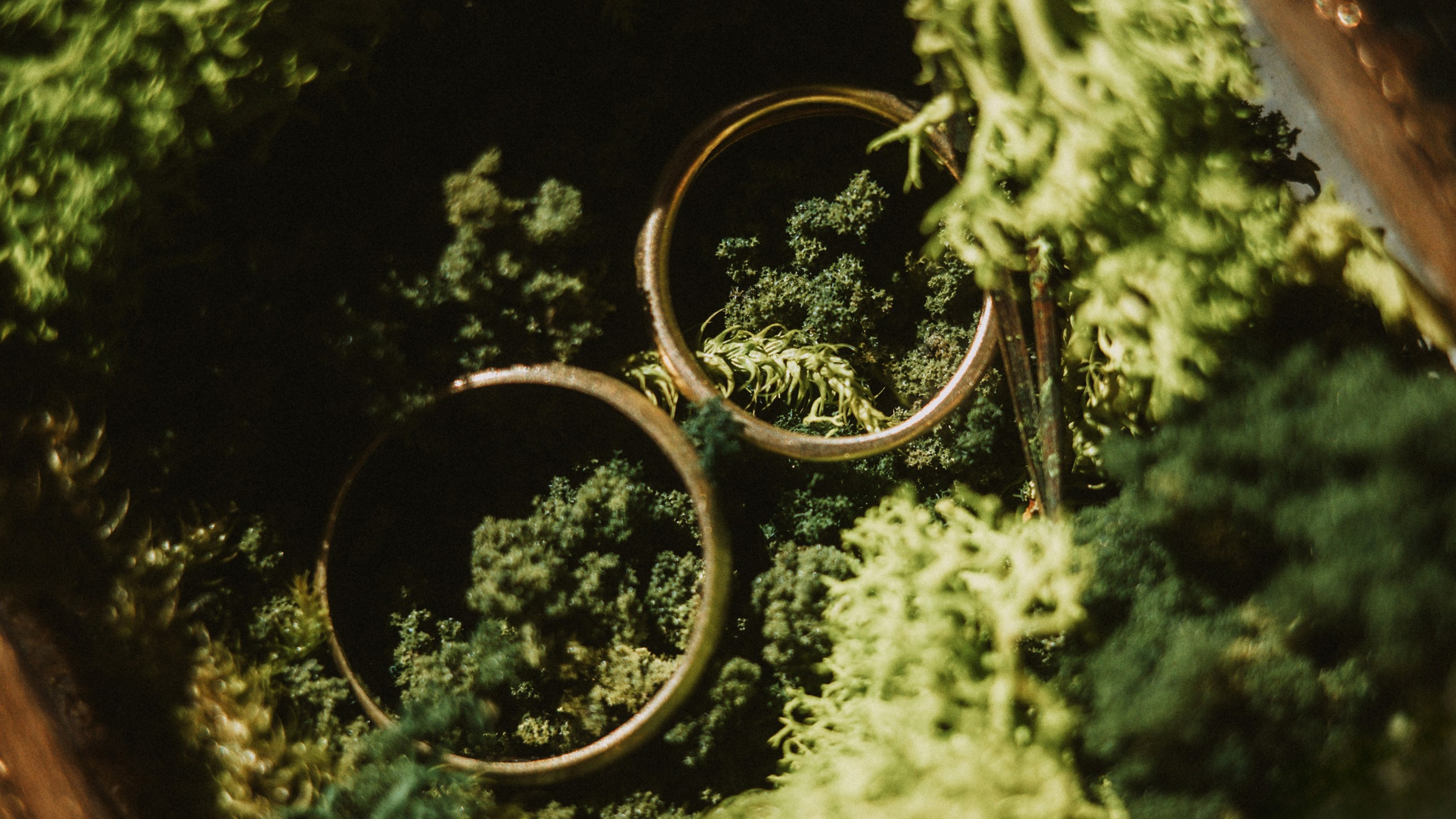 Bodas. Fotógrafo en Tenerife Edgar Zubarev