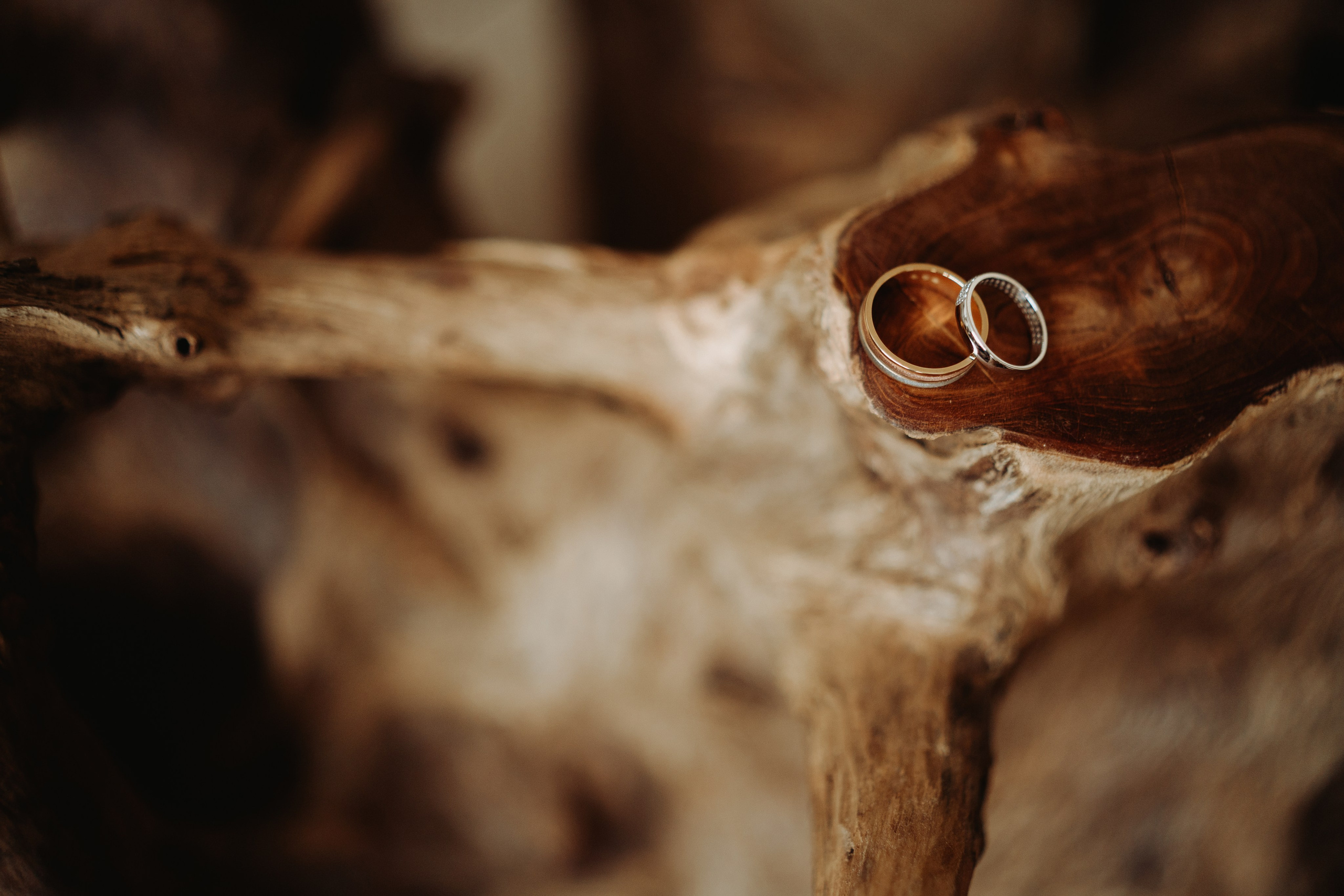 Anthony & Milena. NSJ — Wedding Studio