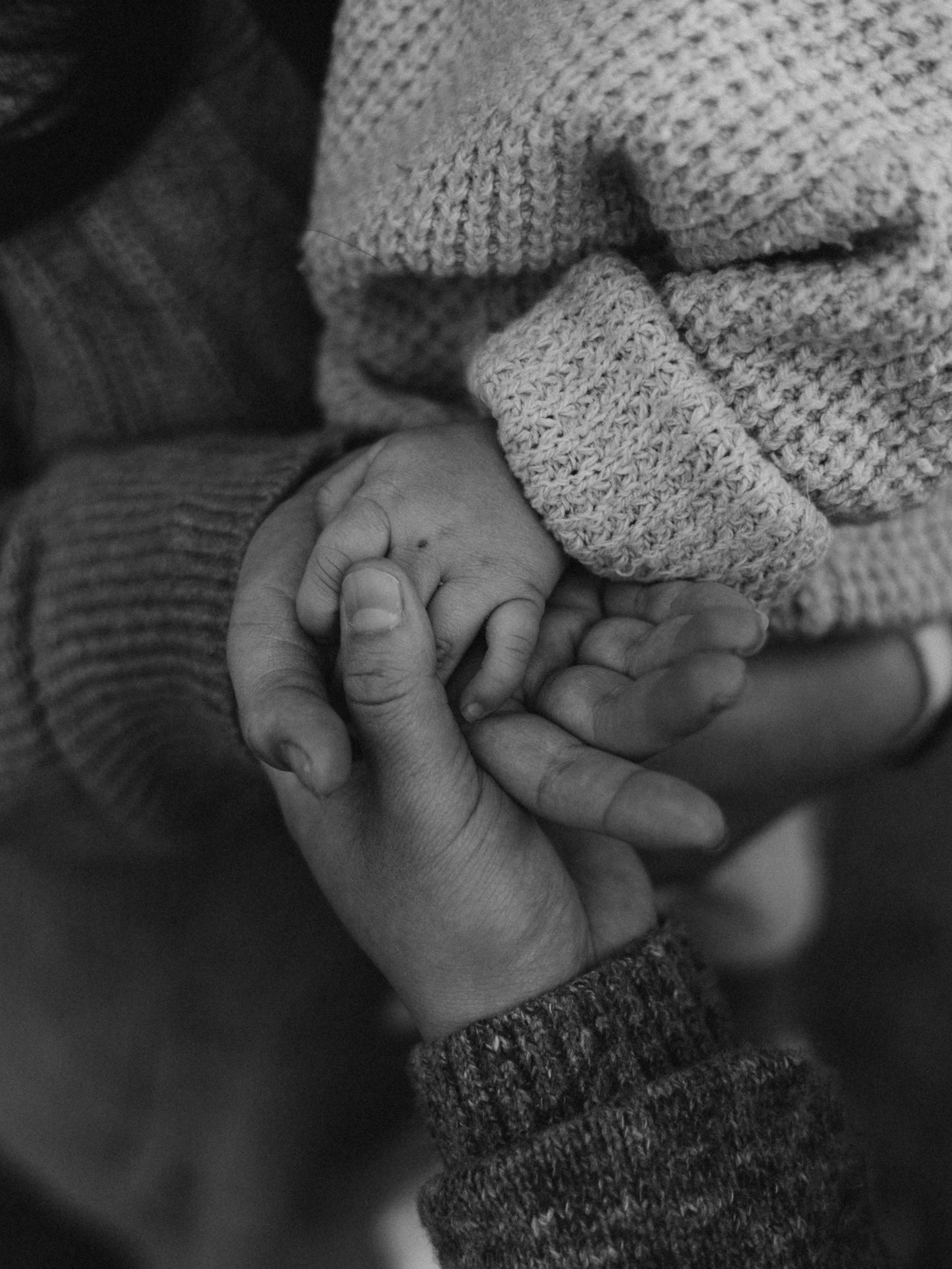 Lucy Kirakos — Family Photographer in Los Angeles