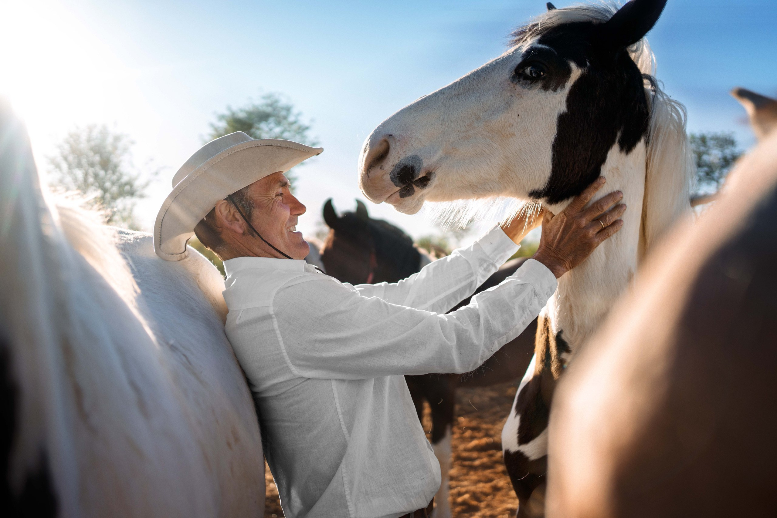 Sesión de fotos con caballos Madrid | Anna Maruleva