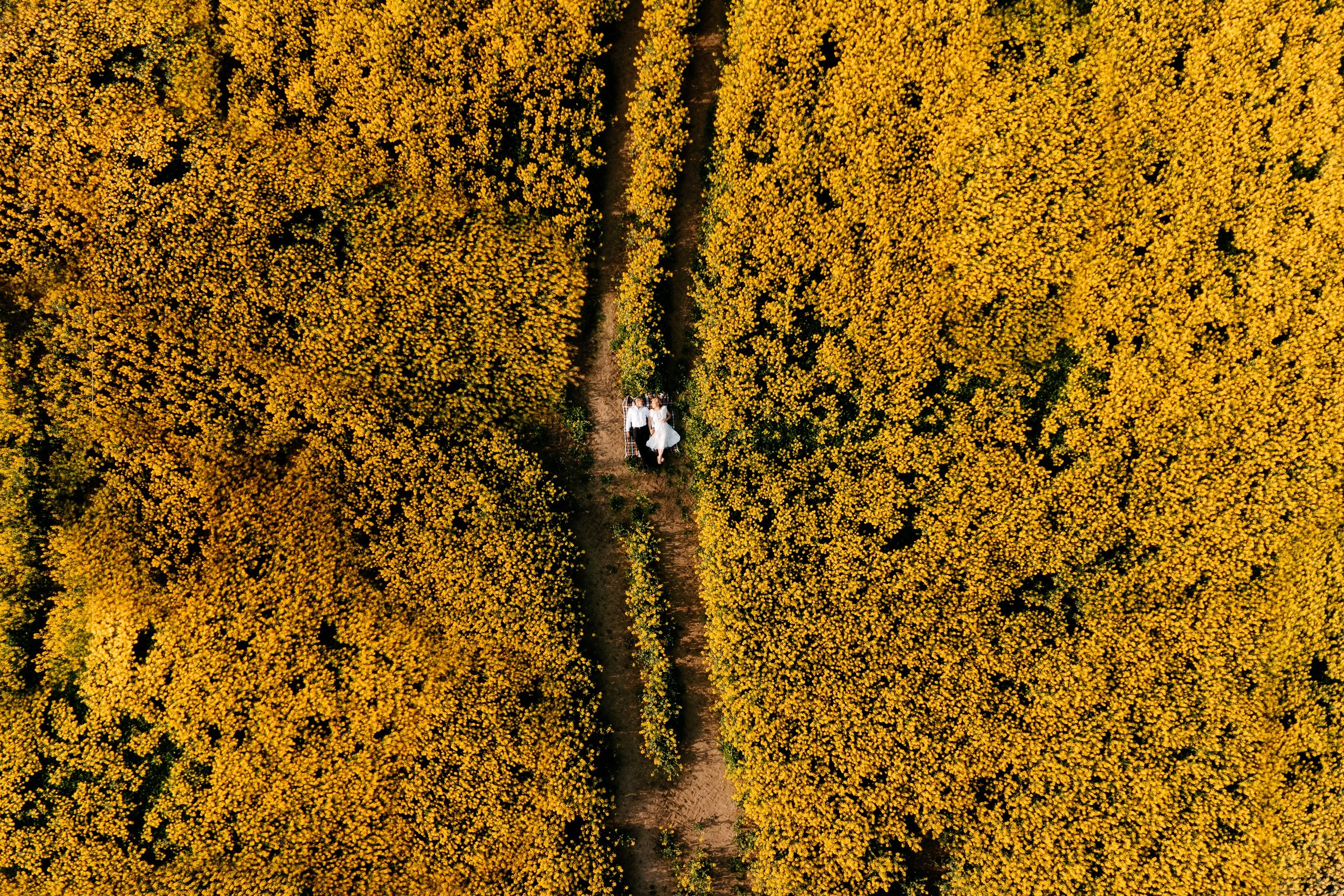 Małgorzata ♡ Ryszard. Fotograf Ślubny Warszawa - Sesje Biznesowe Rodzinne Eventy