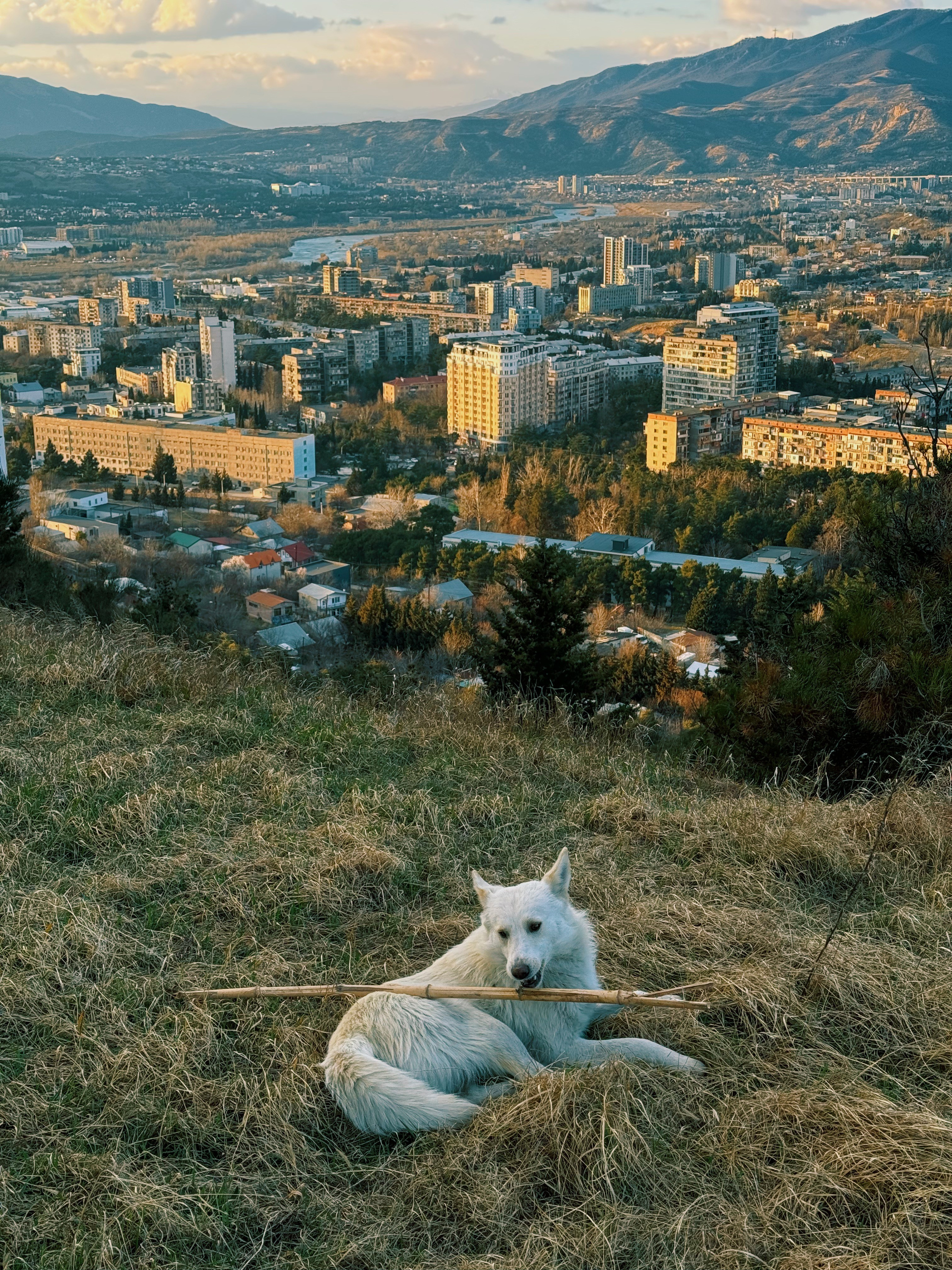 Работы Марии Шер. Sher.SCHOOL