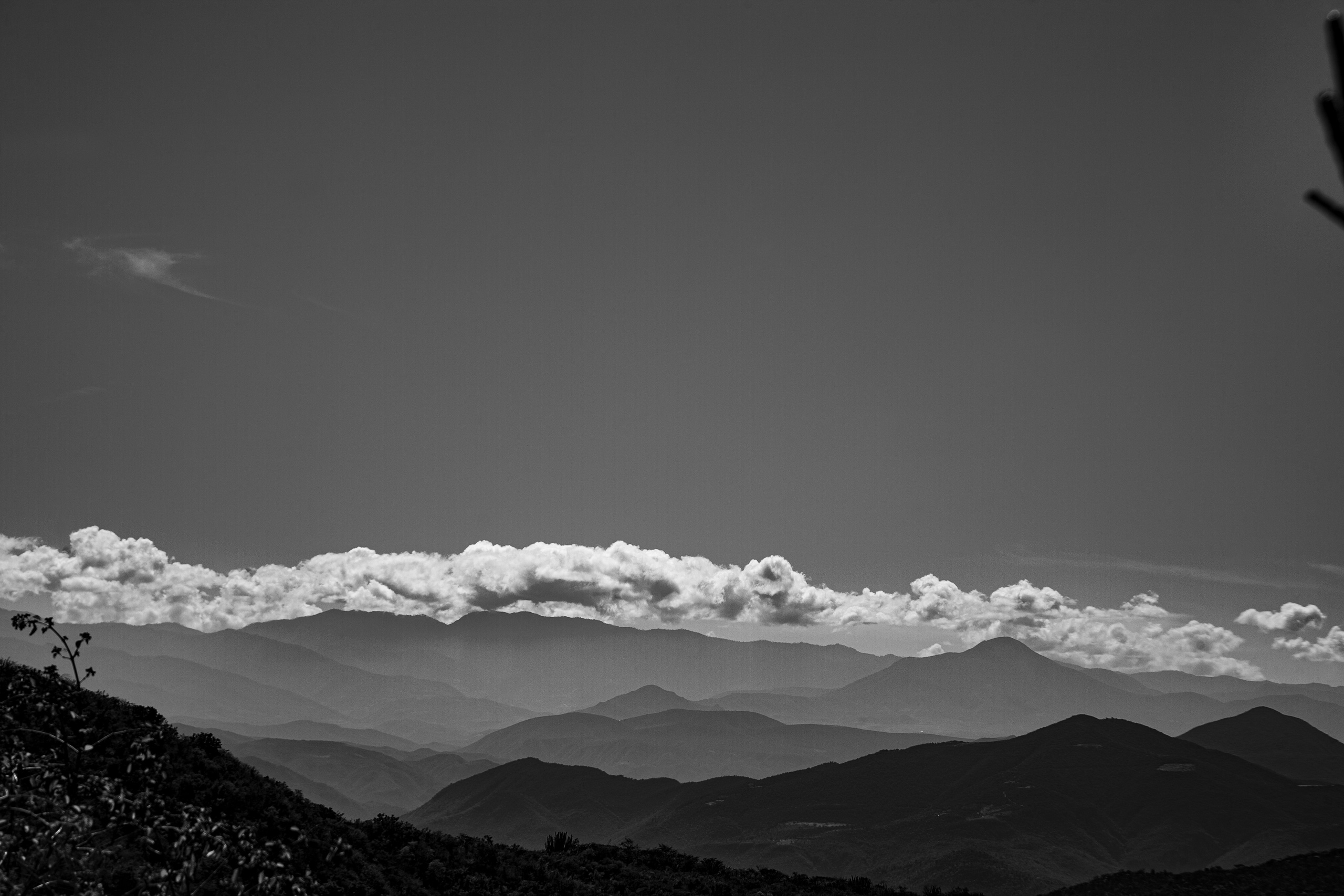 EXHIBITION. Lero Photographer and a set designer|individual custom portrait and advertising photography in Zutphen