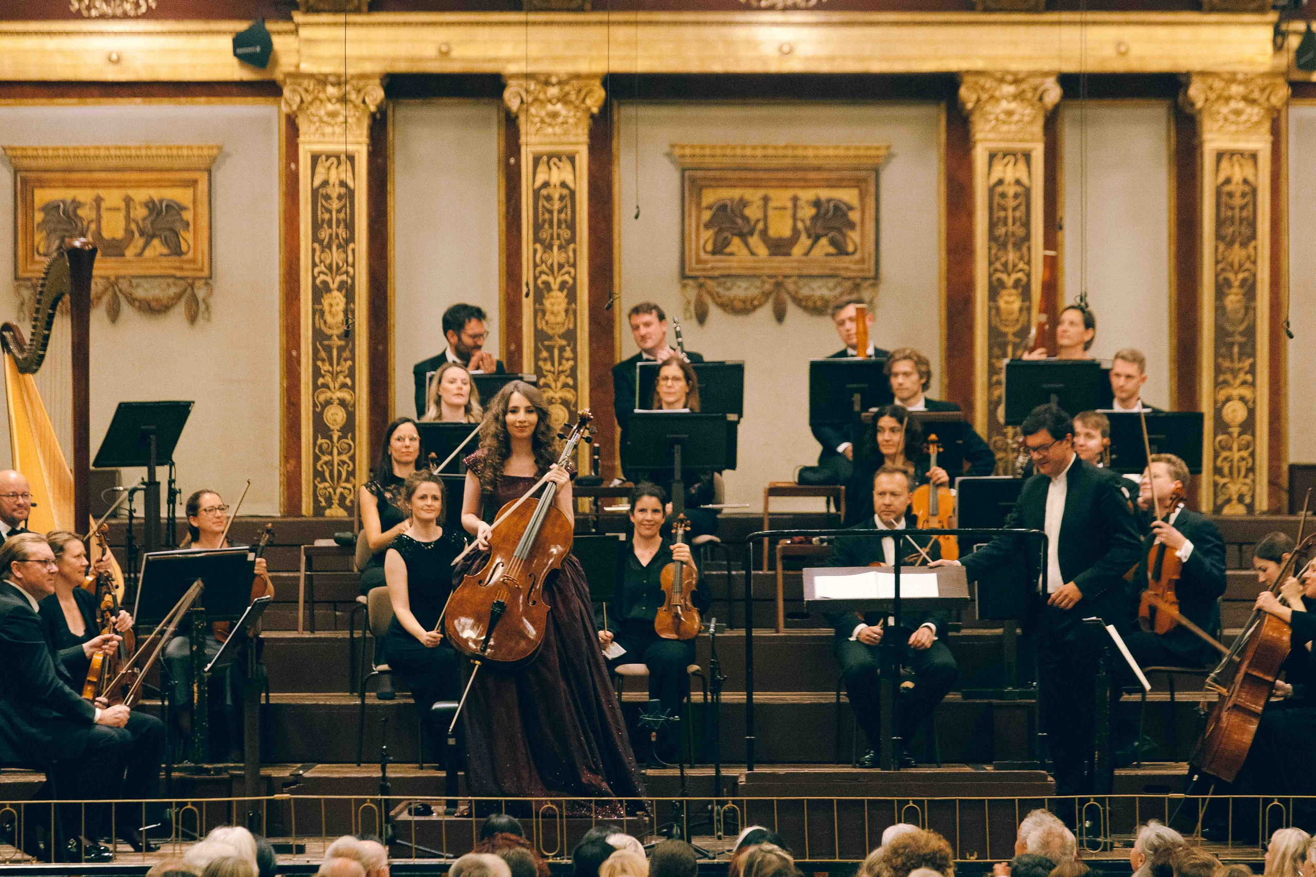 MUSIKVEREIN (VIENNA). Wedding&Event photographer Ismail Rzayev in Baku