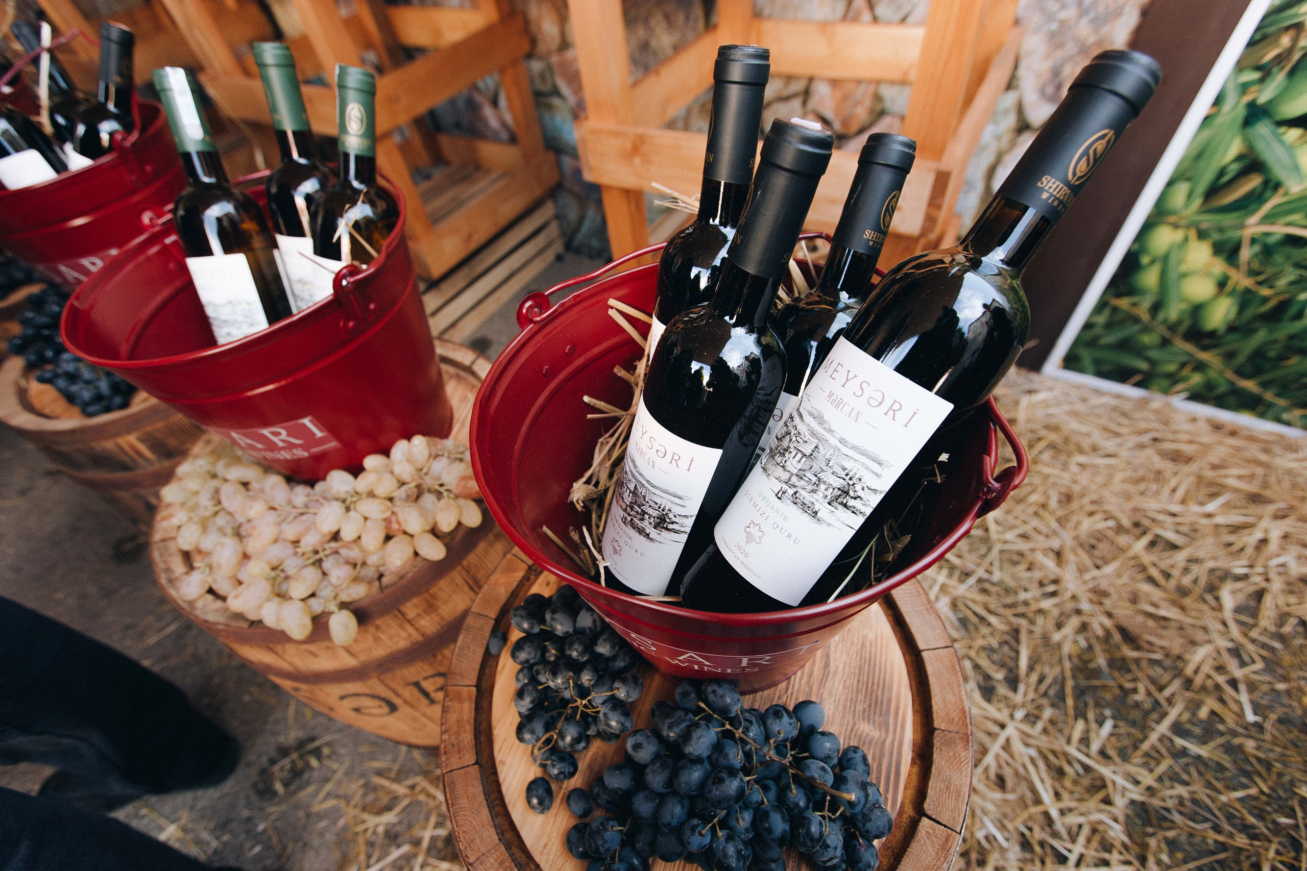 MEYSARI WINE FESTIVAL. Wedding&Event photographer Ismail Rzayev in Baku