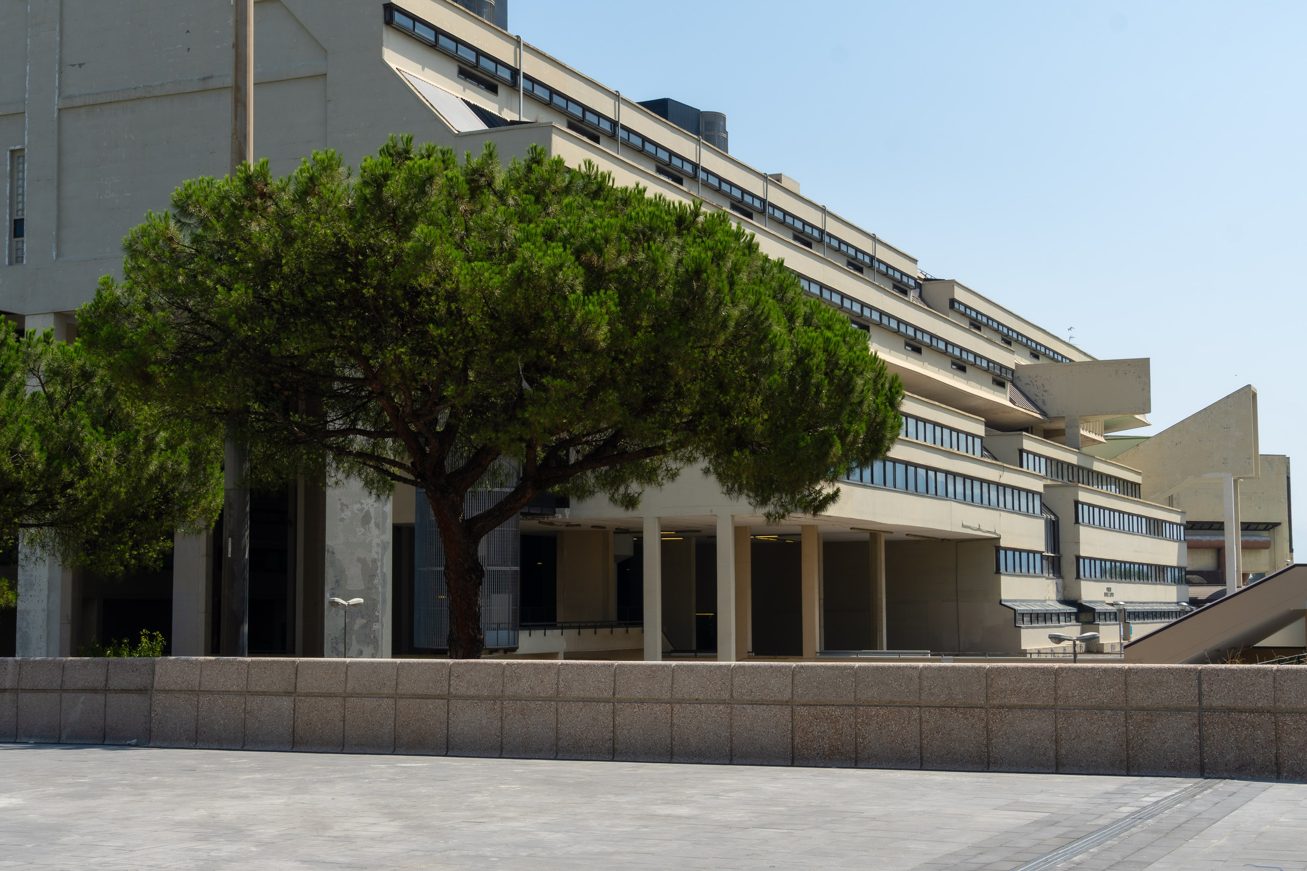 Napoli 2025. Fotografiideplacere.net