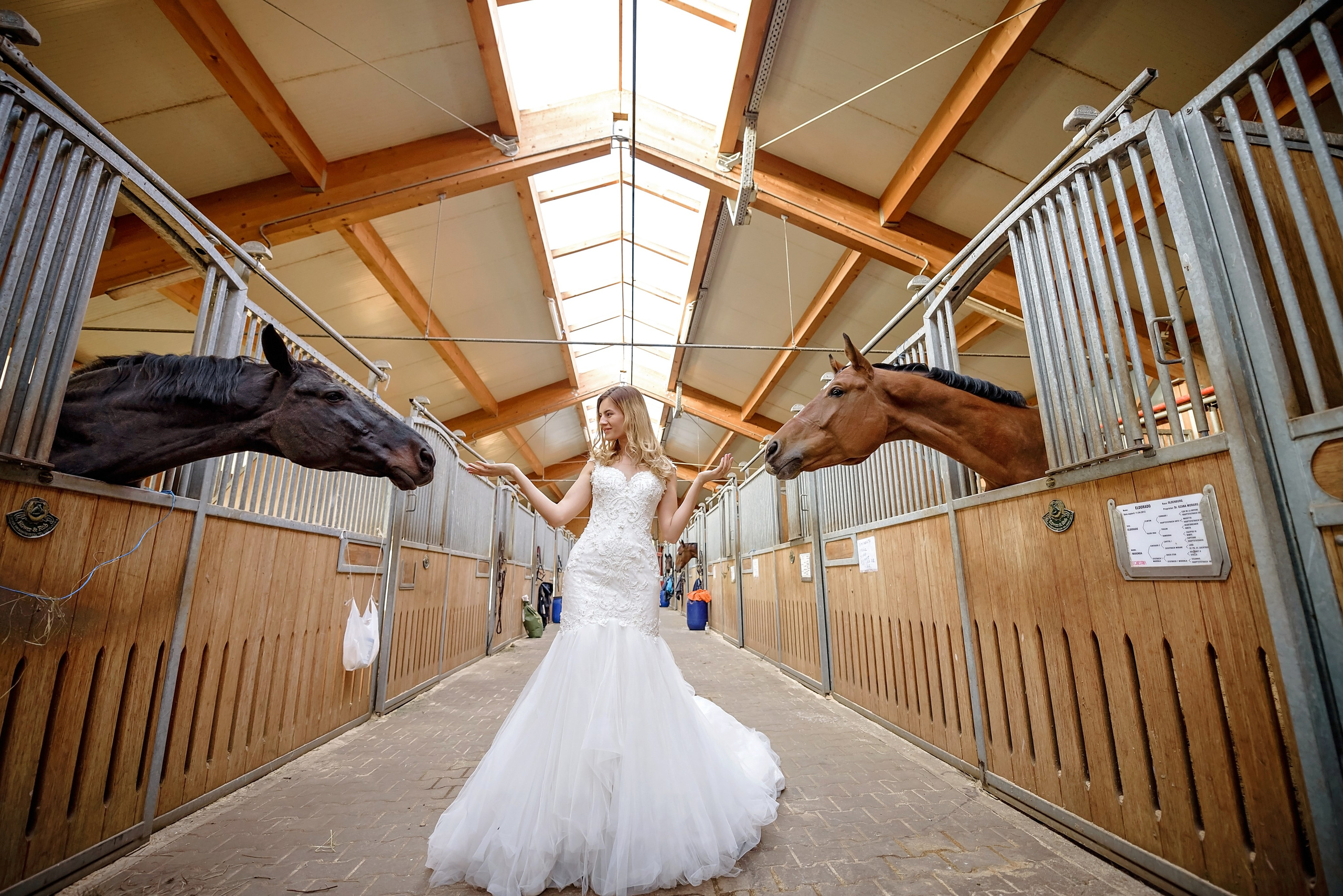 After Wedding - Diana + Marius