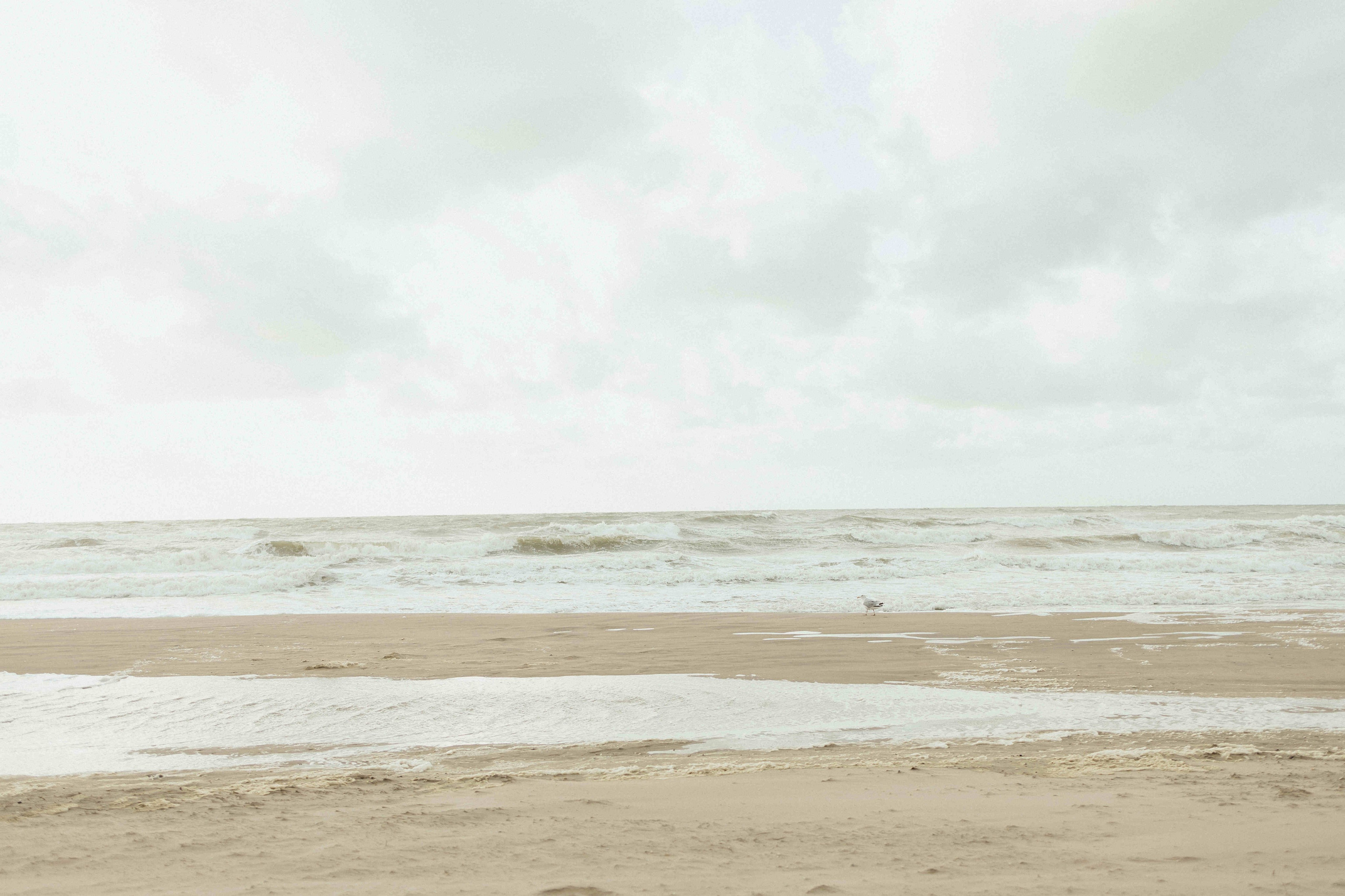 By the ocean. Newborn, Maternity & Family Photographer in Charlotte, North Carolina | Arhipova Julia