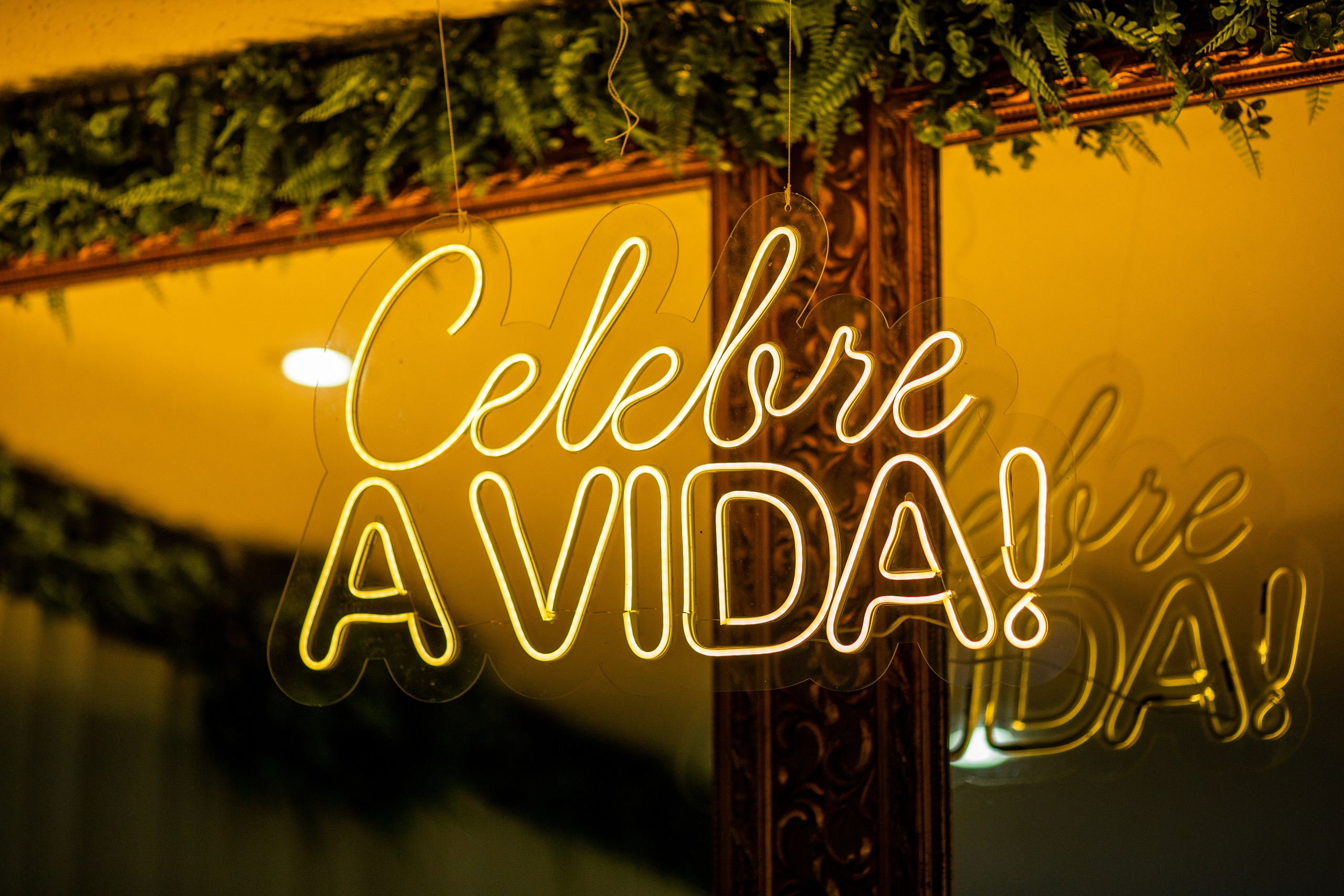 XV Anos Giovanna. Flavio Nunes Fotografia (Fotografo especializado em Fotografia de 15 Anos e Ensaios)