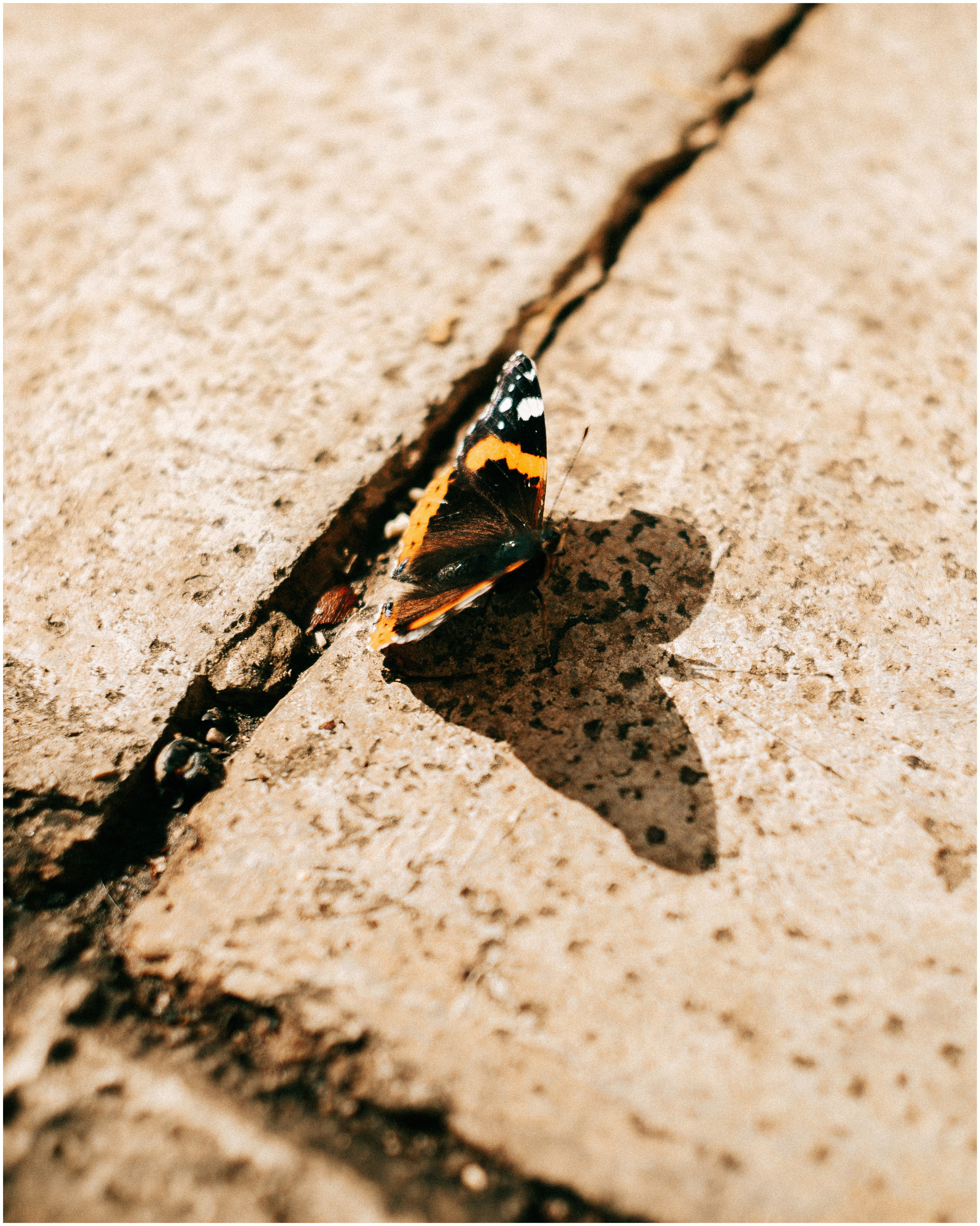 PALERMO. Photographer Inna Mendelson