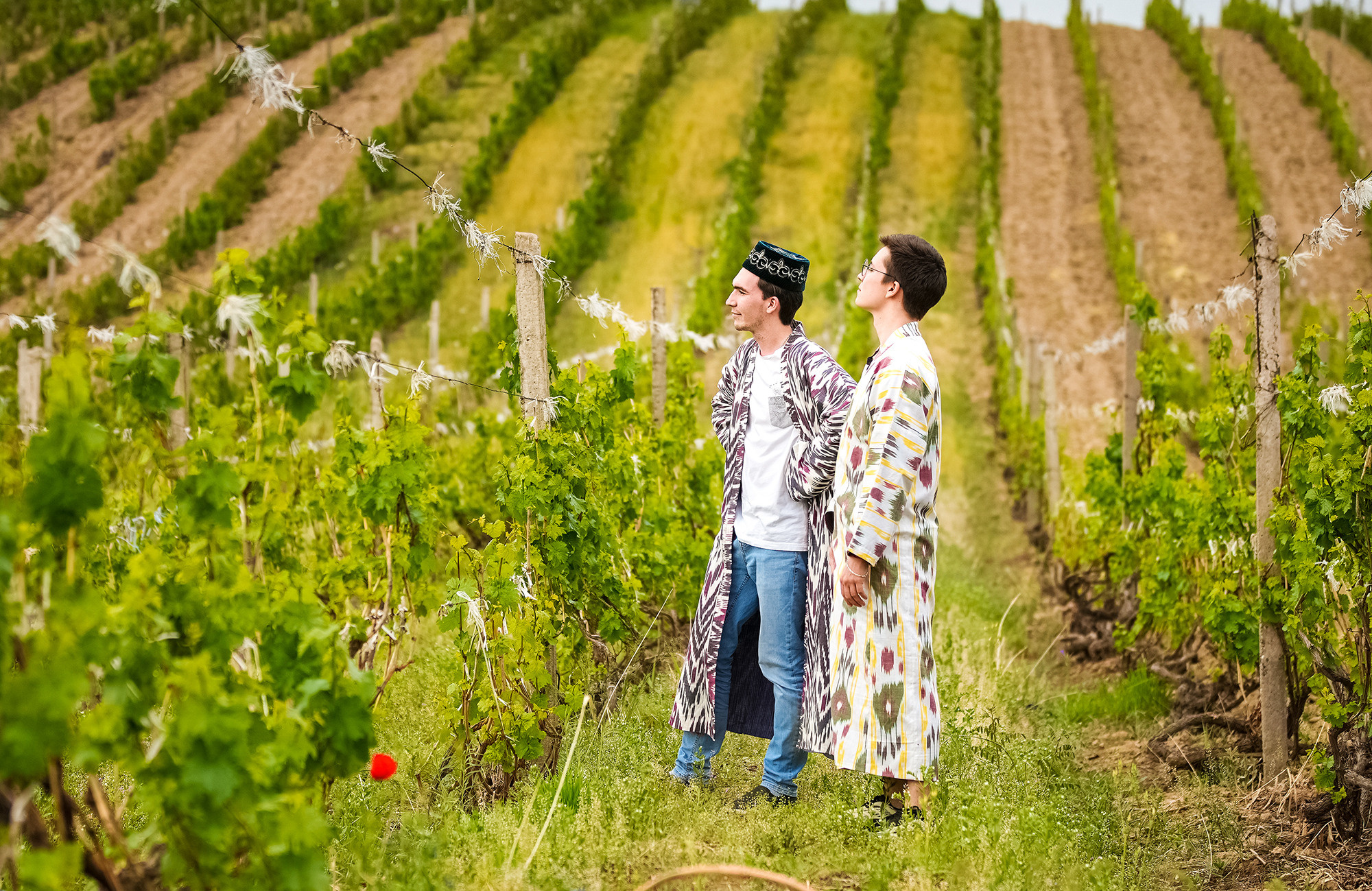 Фотосессия для винодела Азиза. Семейный, детский, репортажный фотограф в Ташкенте Елена Аллабергенова
