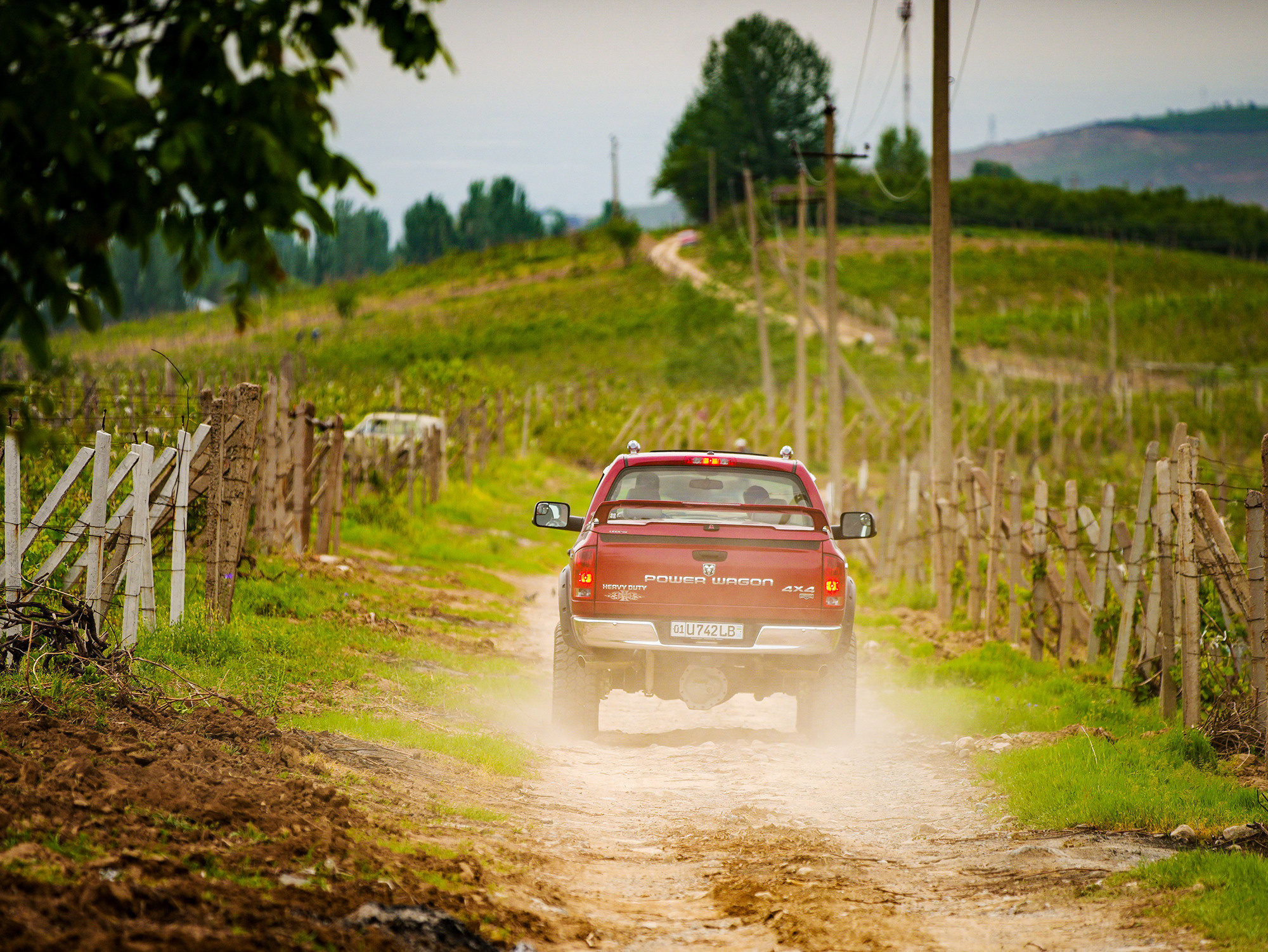 Фотосессия для винодела Азиза. Семейный, детский, репортажный фотограф в Ташкенте Елена Аллабергенова