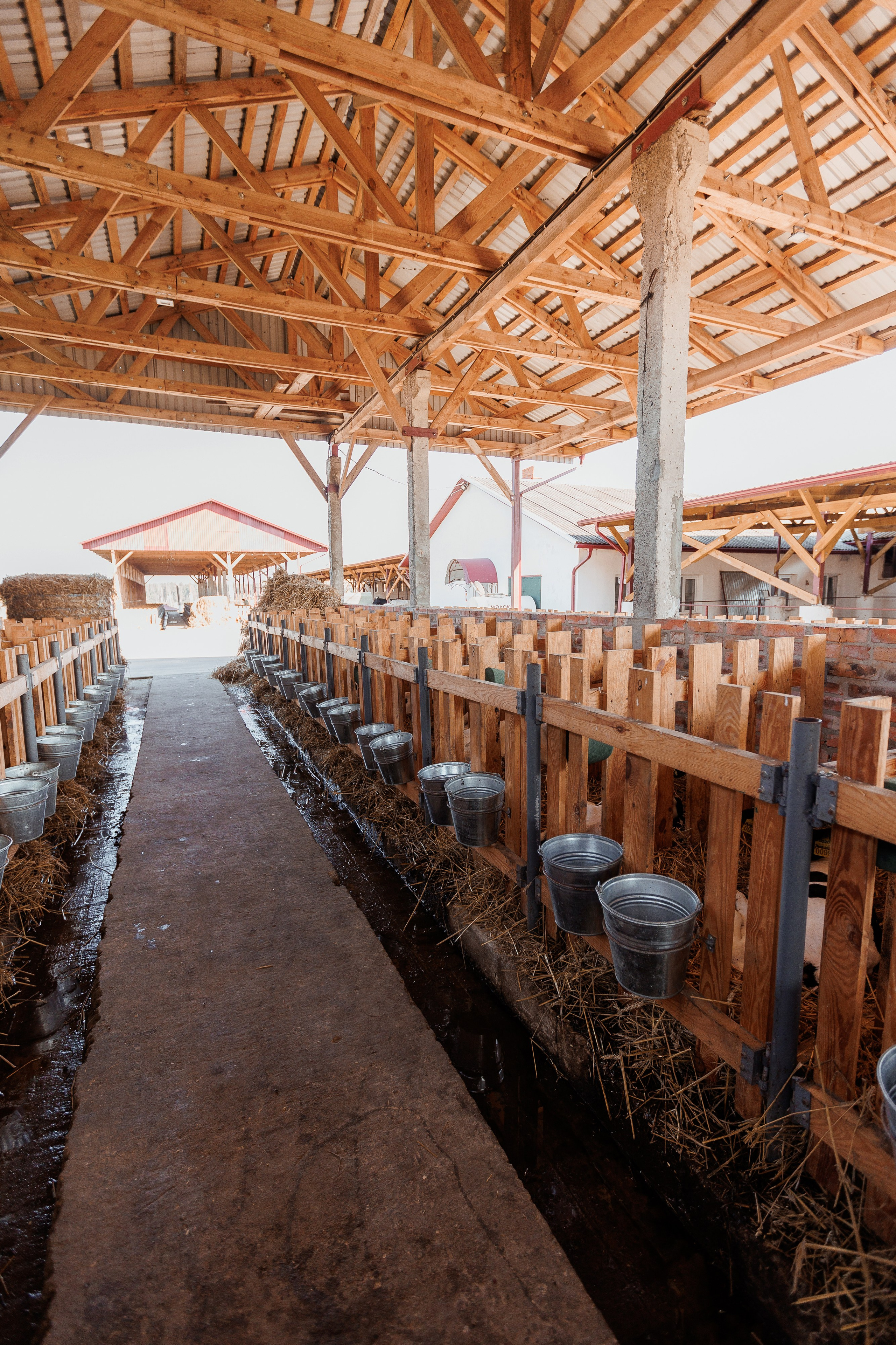 Екопарк Аміла. Ірина Терещук