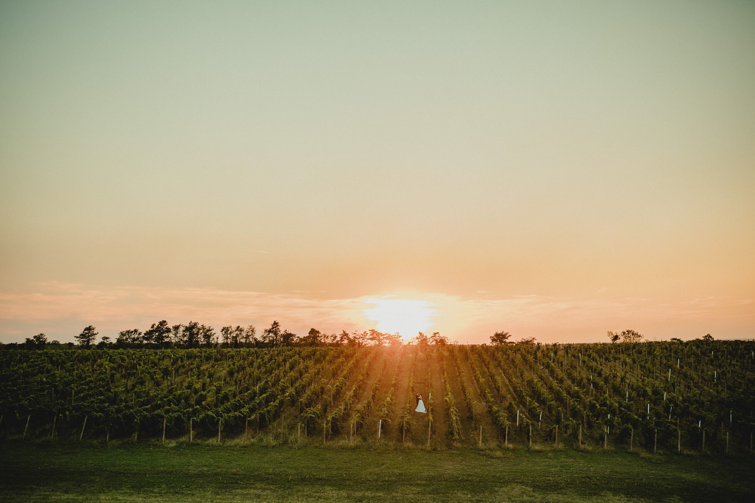 Portfolio. Wedding photographer based in Novi Sad, Marko Milivojevic