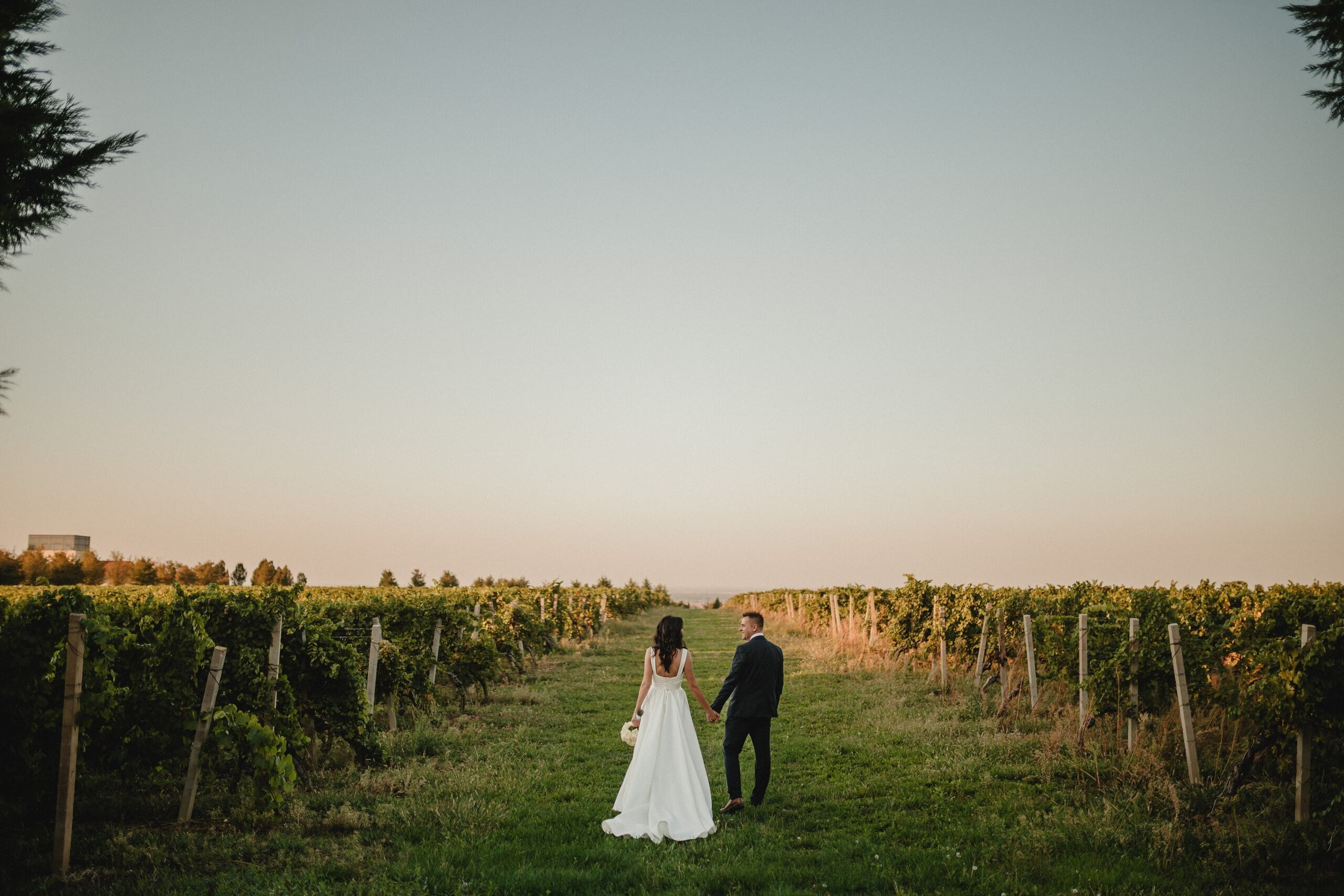 Portfolio. Wedding photographer based in Novi Sad, Marko Milivojevic