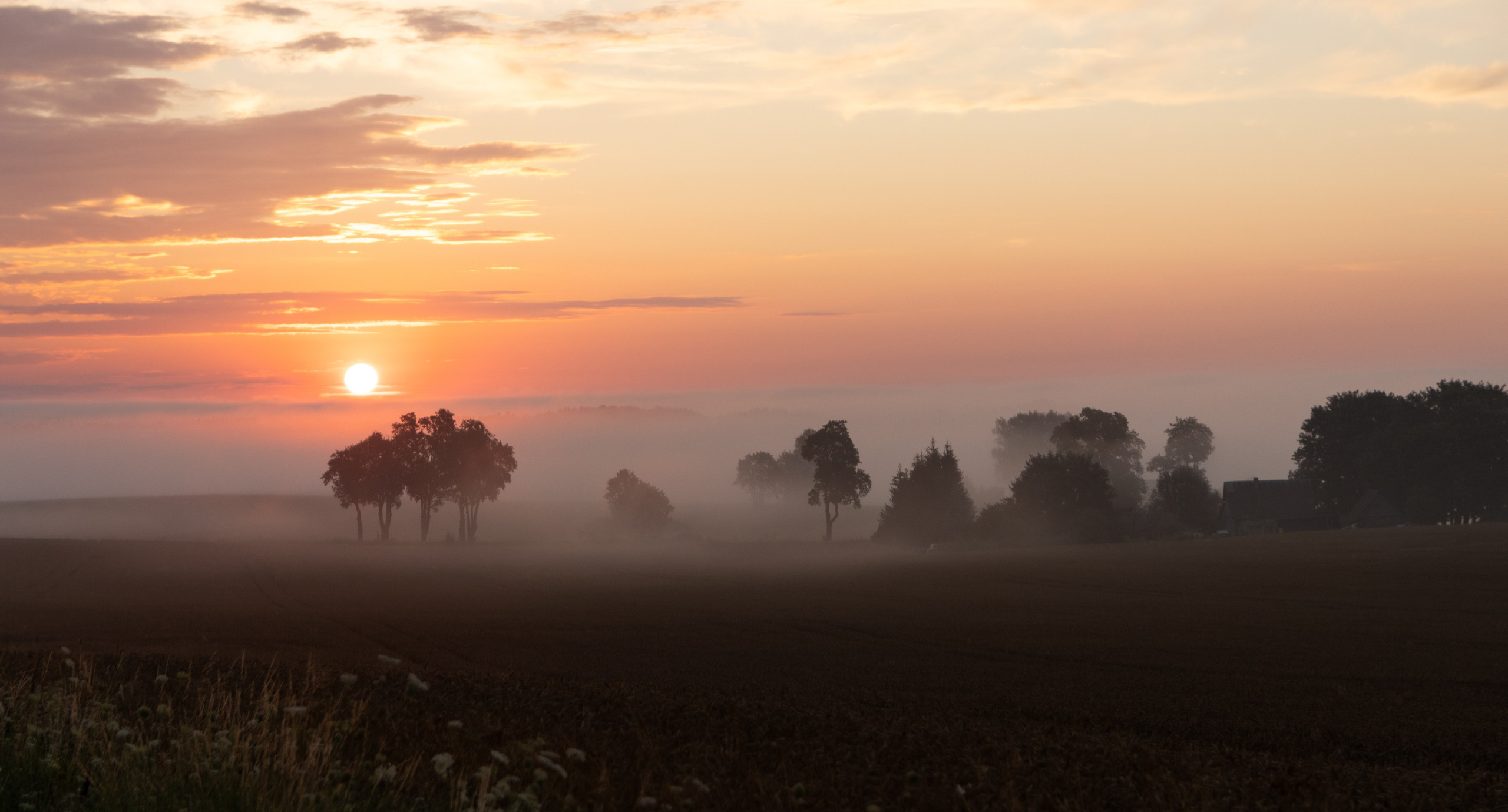 Landscape. Portrait and Street photographer in Vilnius Edgar Shaipunas