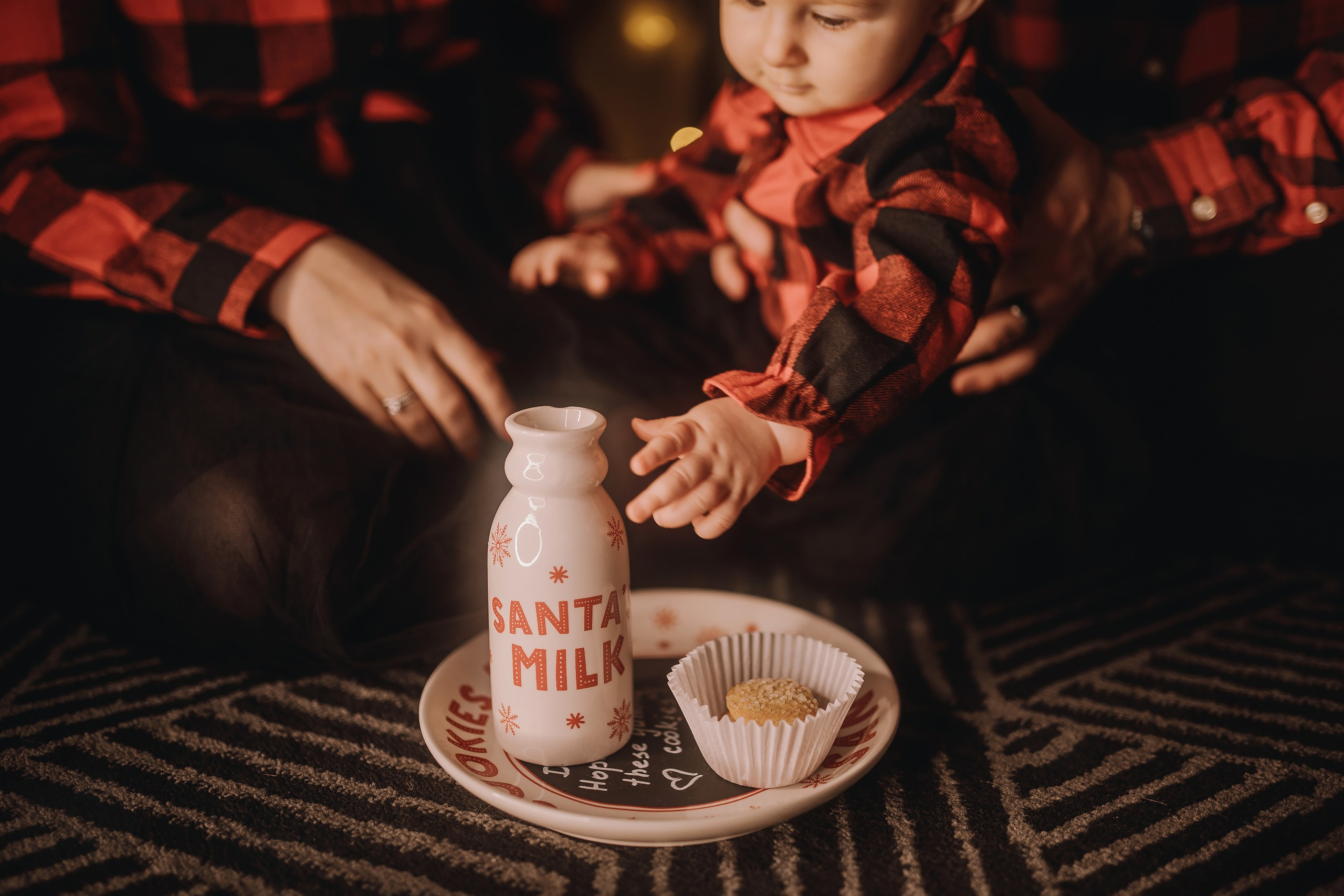 25.11.2023 Christmas Photoshoot 1. Wedding family event photographer in Chicago Nick Yushevich