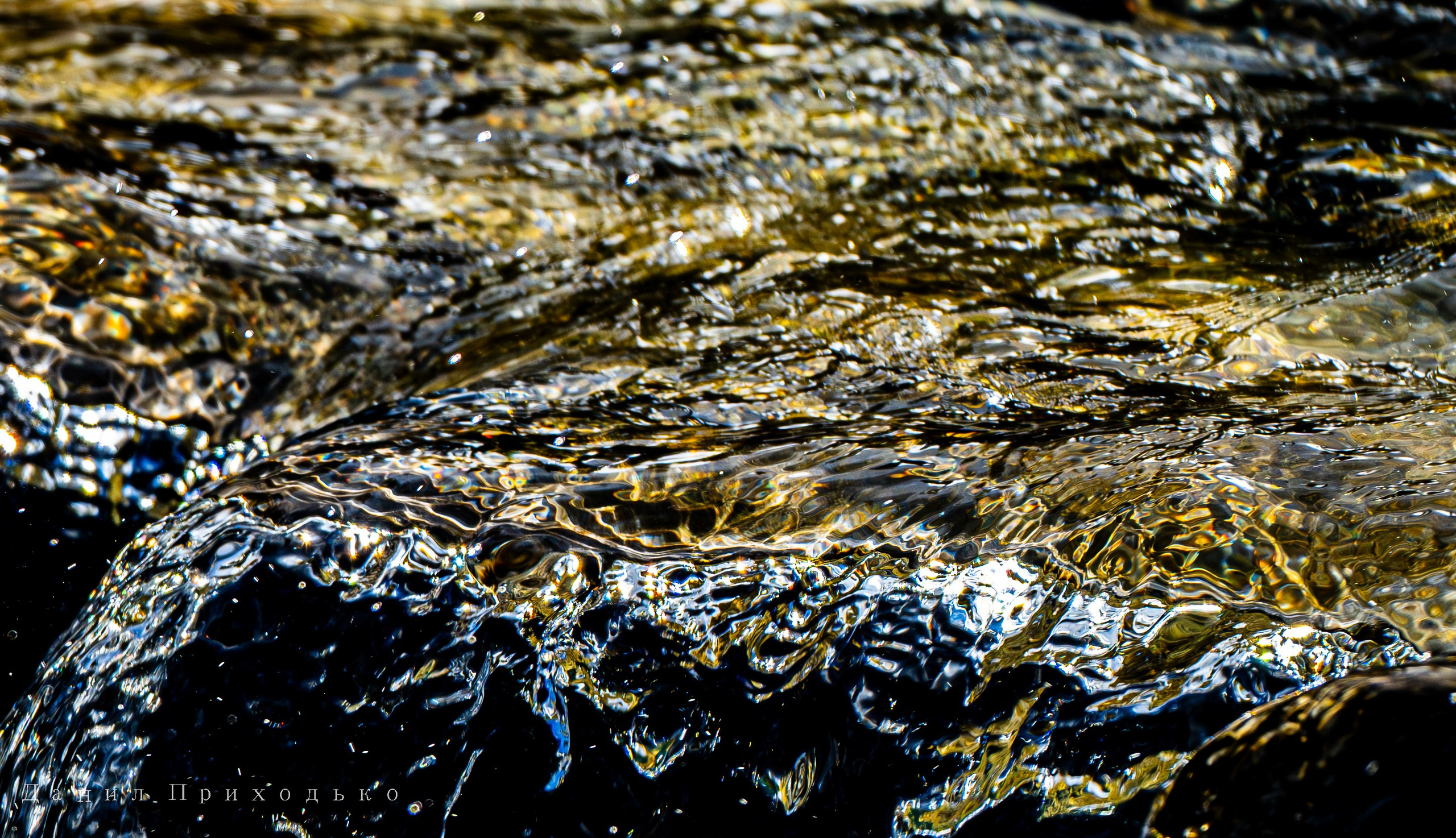 Danil Prikhodko Photography