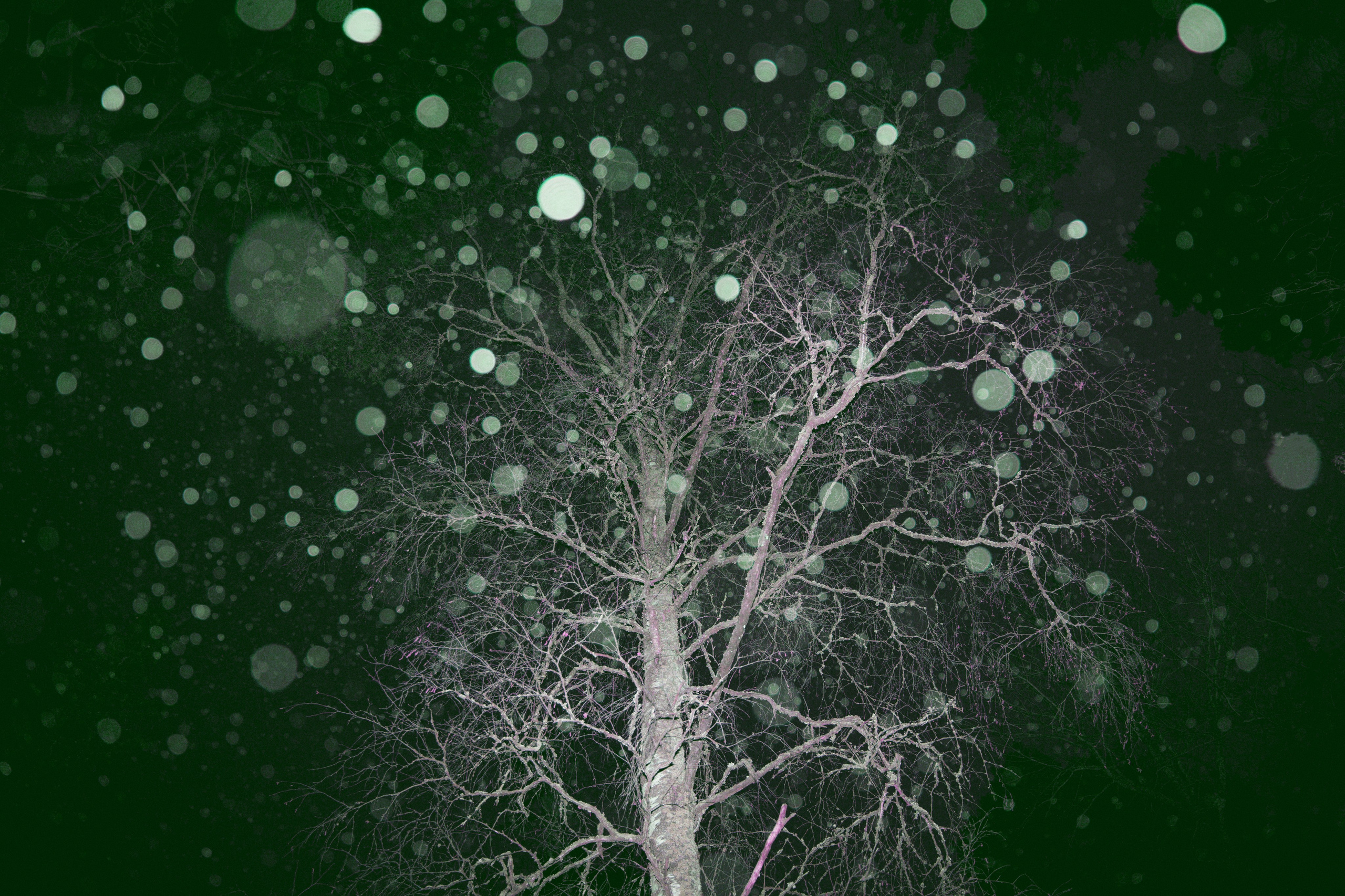 Friends or foes. Maija Bondar Photographer