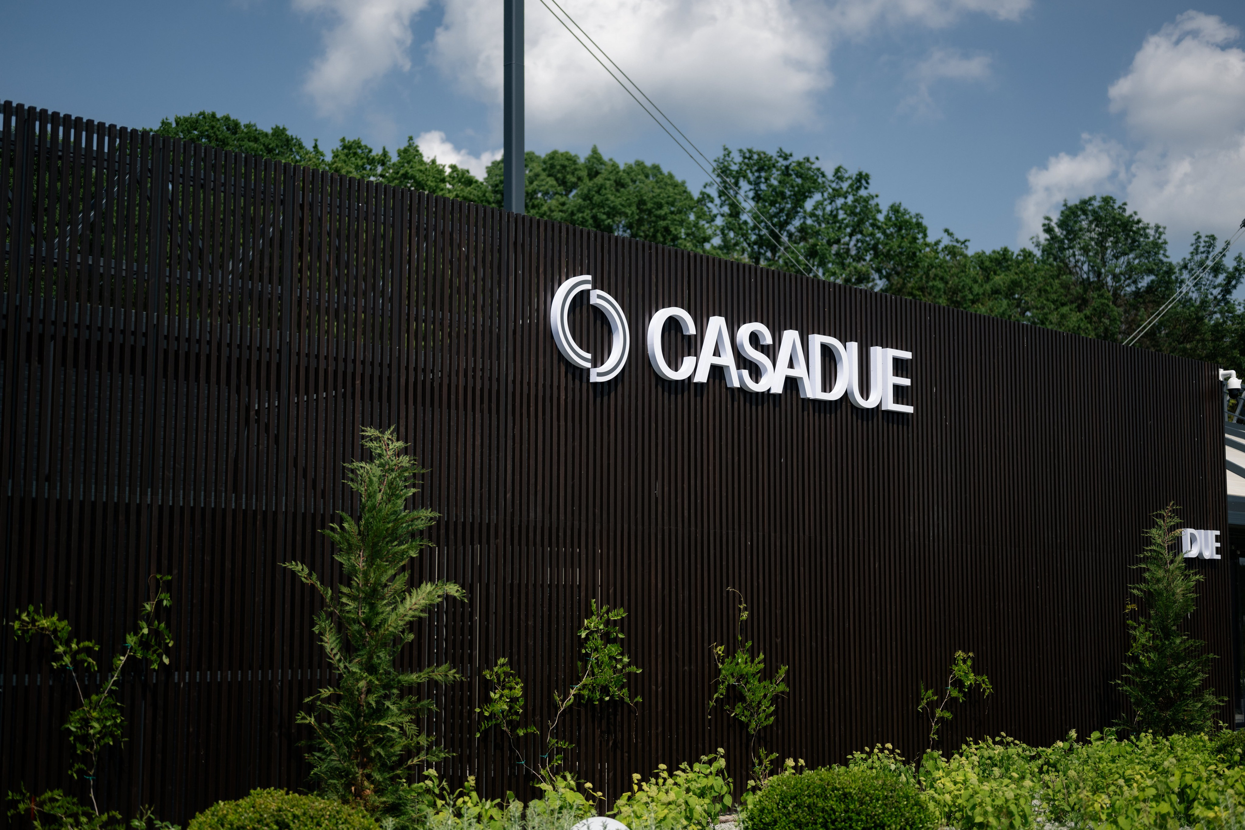 Diana & Octavian. Fotograf de nuntă Alex Pasarelu