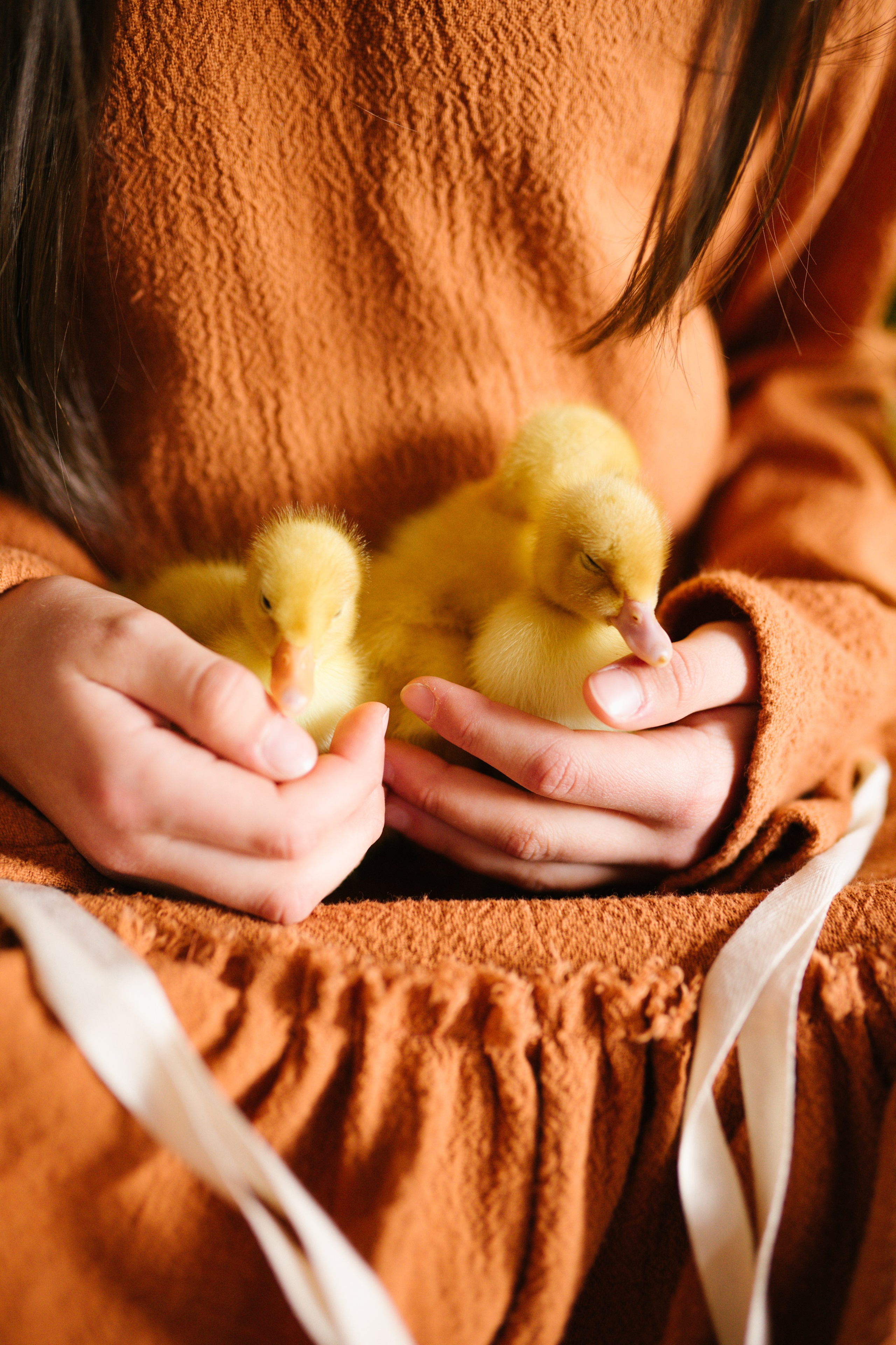 Ședințe Foto de Paște Brașov: Gălbenuș | Mădălina Beda. Madalina Beda- Artist vizual, fotograf, doula la nastere, consultant babywearing Brasov si in toata tara