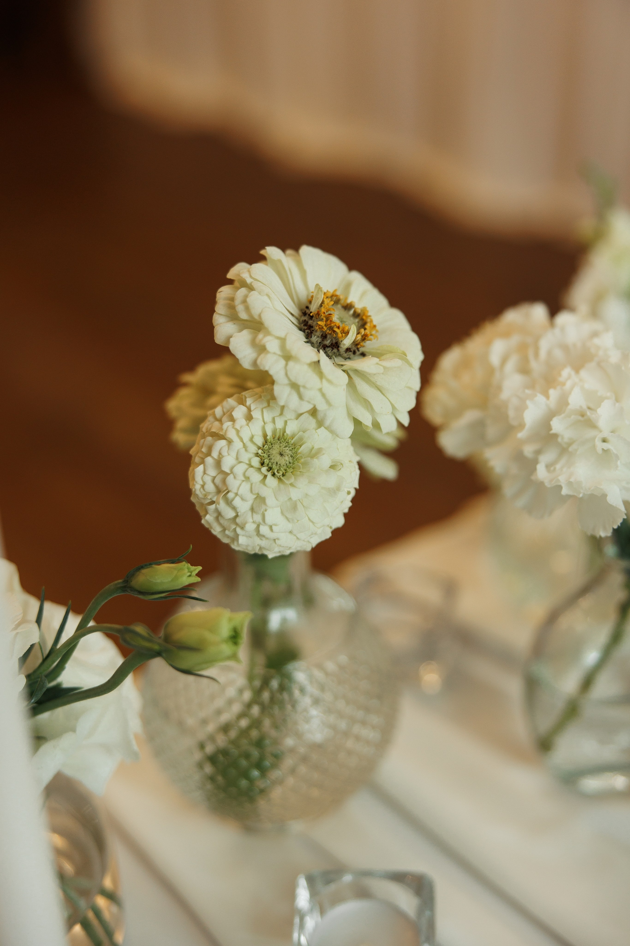 Inna Oleksandr. Ірина Терещук