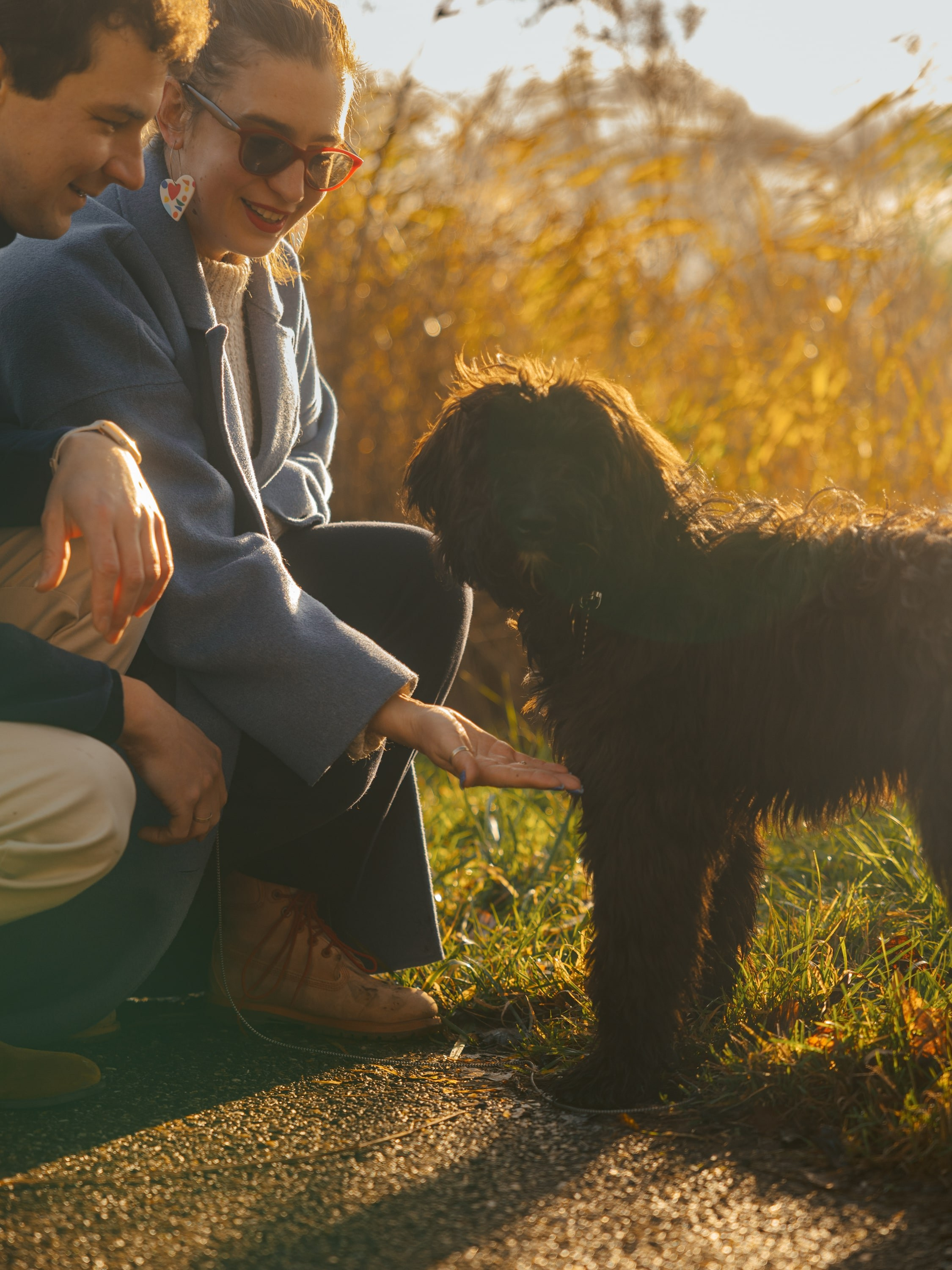 Pet Photoshoot in Spijkenisse | Rotterdam. Romantic & Soulful Photography by Natalia Olhova in Rotterdam