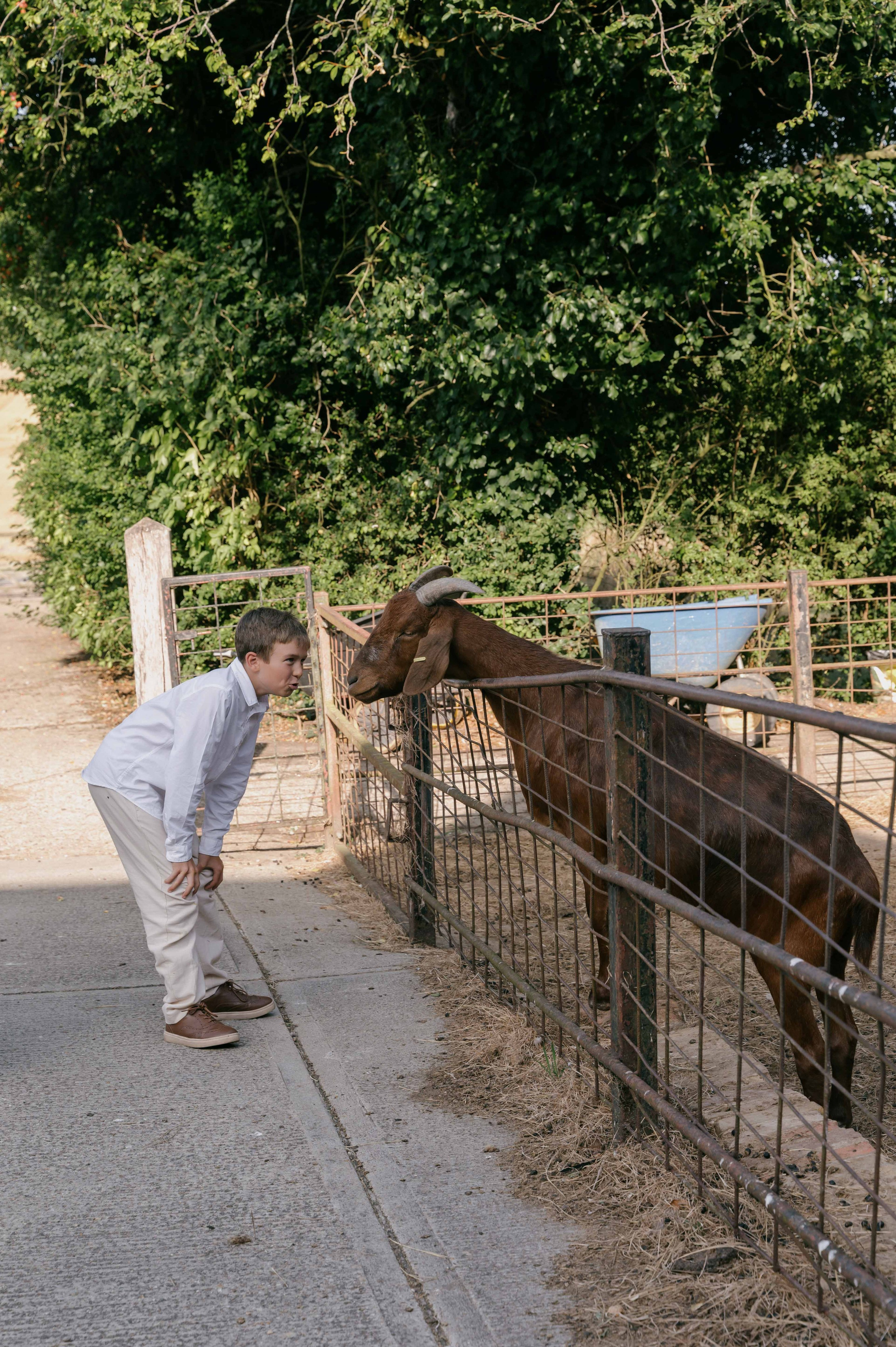 Layer Marney Tower Wedding, Essex | Essex & London Wedding Photographer. Natasha Ferreira Photography
