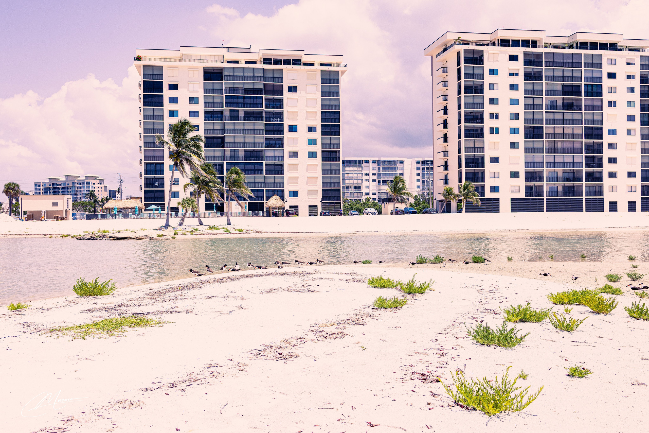 Fort Myers. Out and About 239