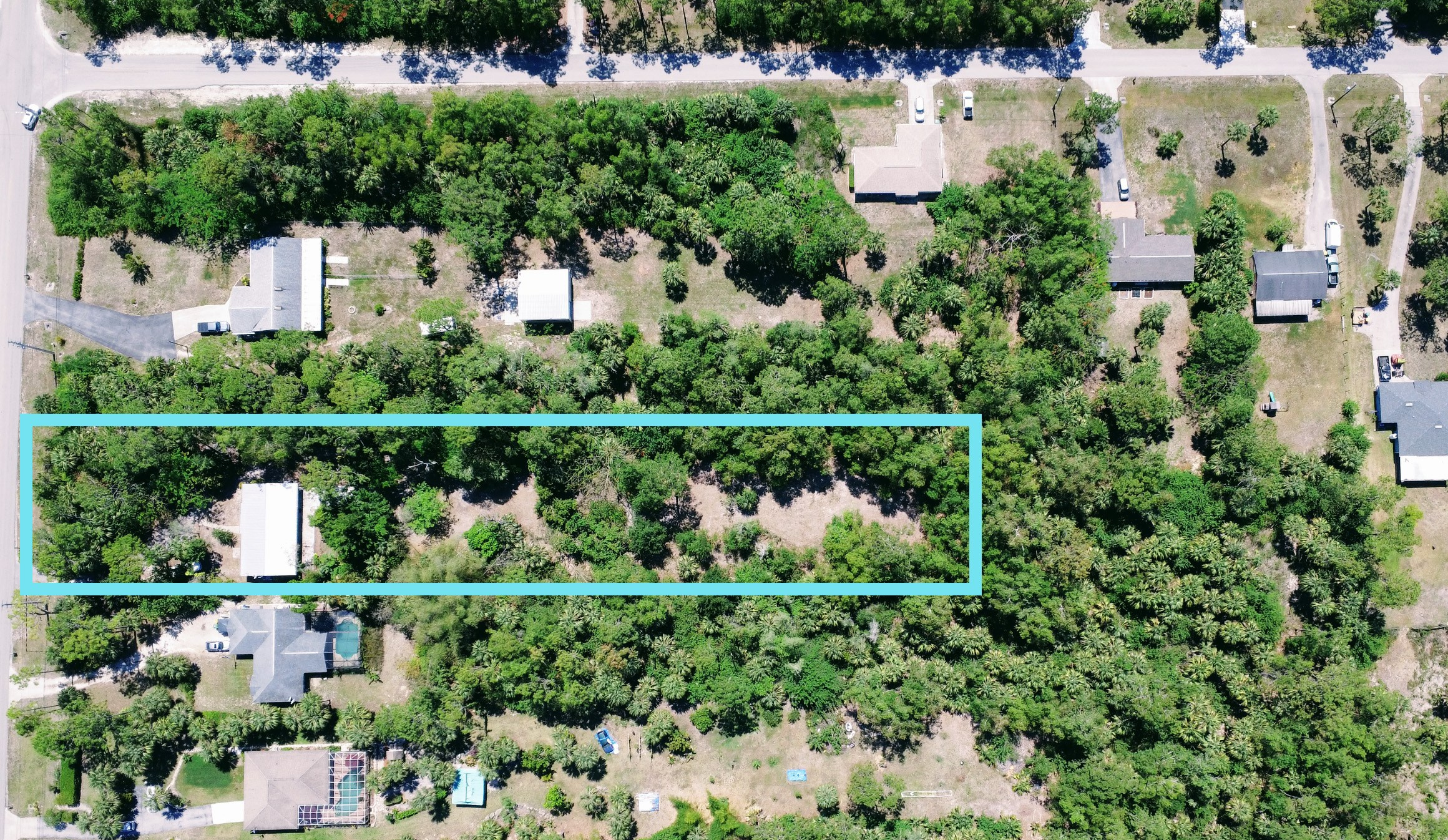 Sample D. Out and About 239