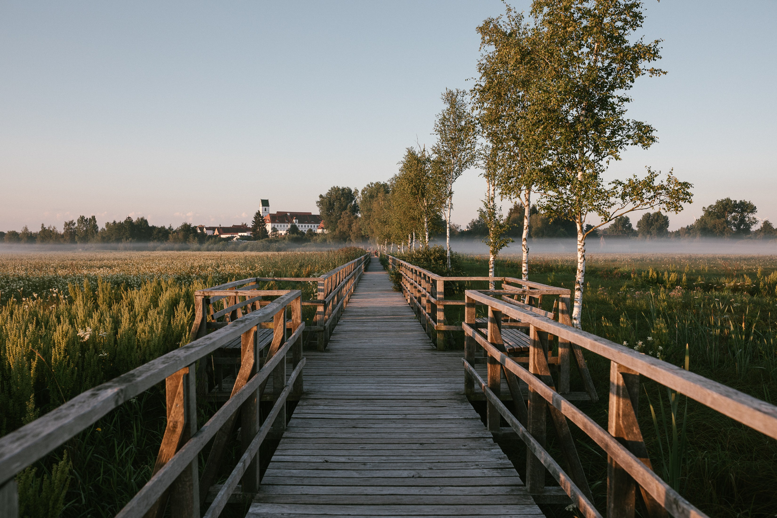 Morgenportraits im Nebel | Federseesteg Sonnenaufgang Fotografie. Hochzeitsfotograf Bodensee & Allgäu | Liliana Berkut
