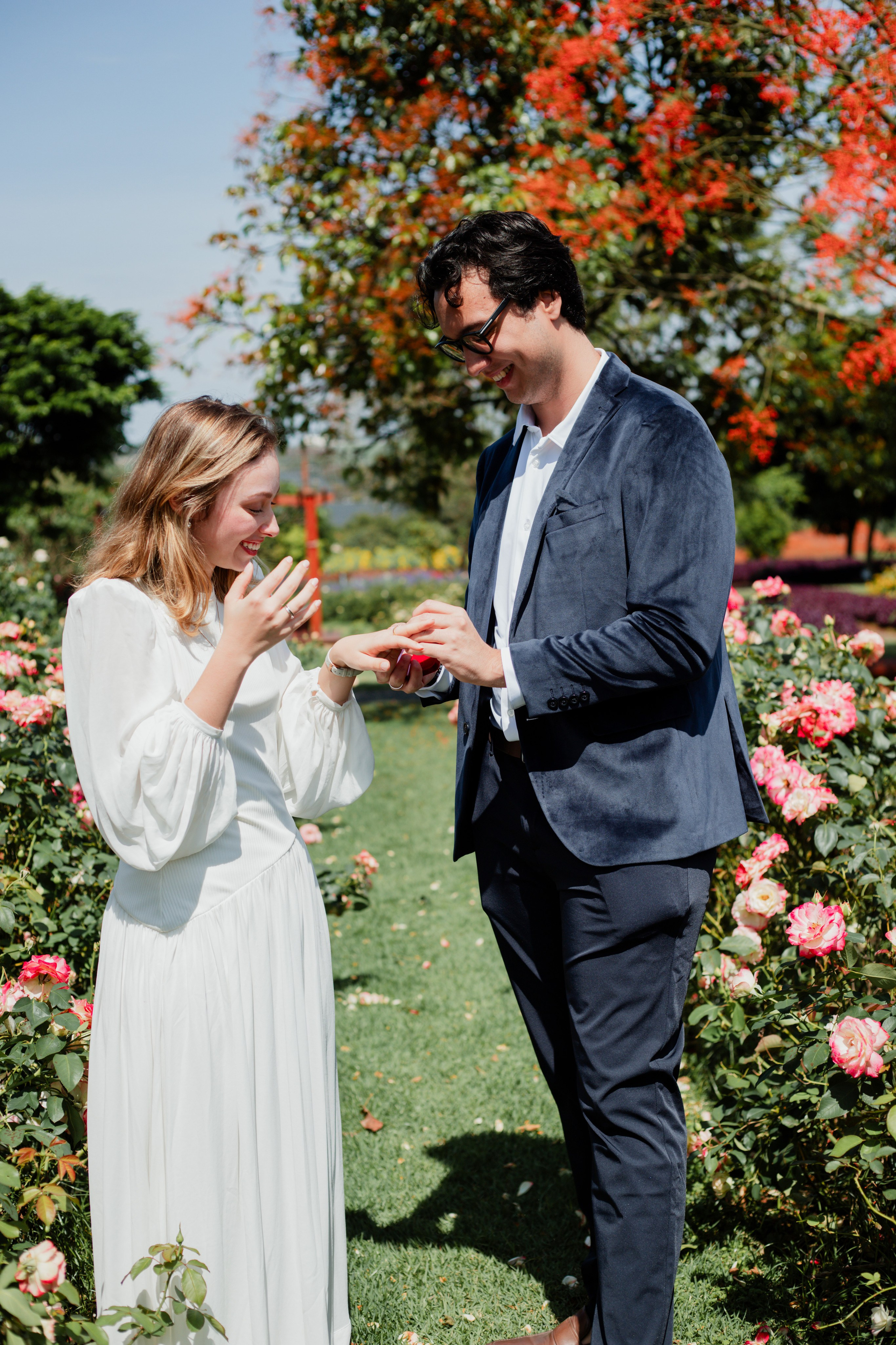 Pedido de Casamento /Bloemen Park. Joyce Maria Fotografia | Fotógrafa em Holambra
