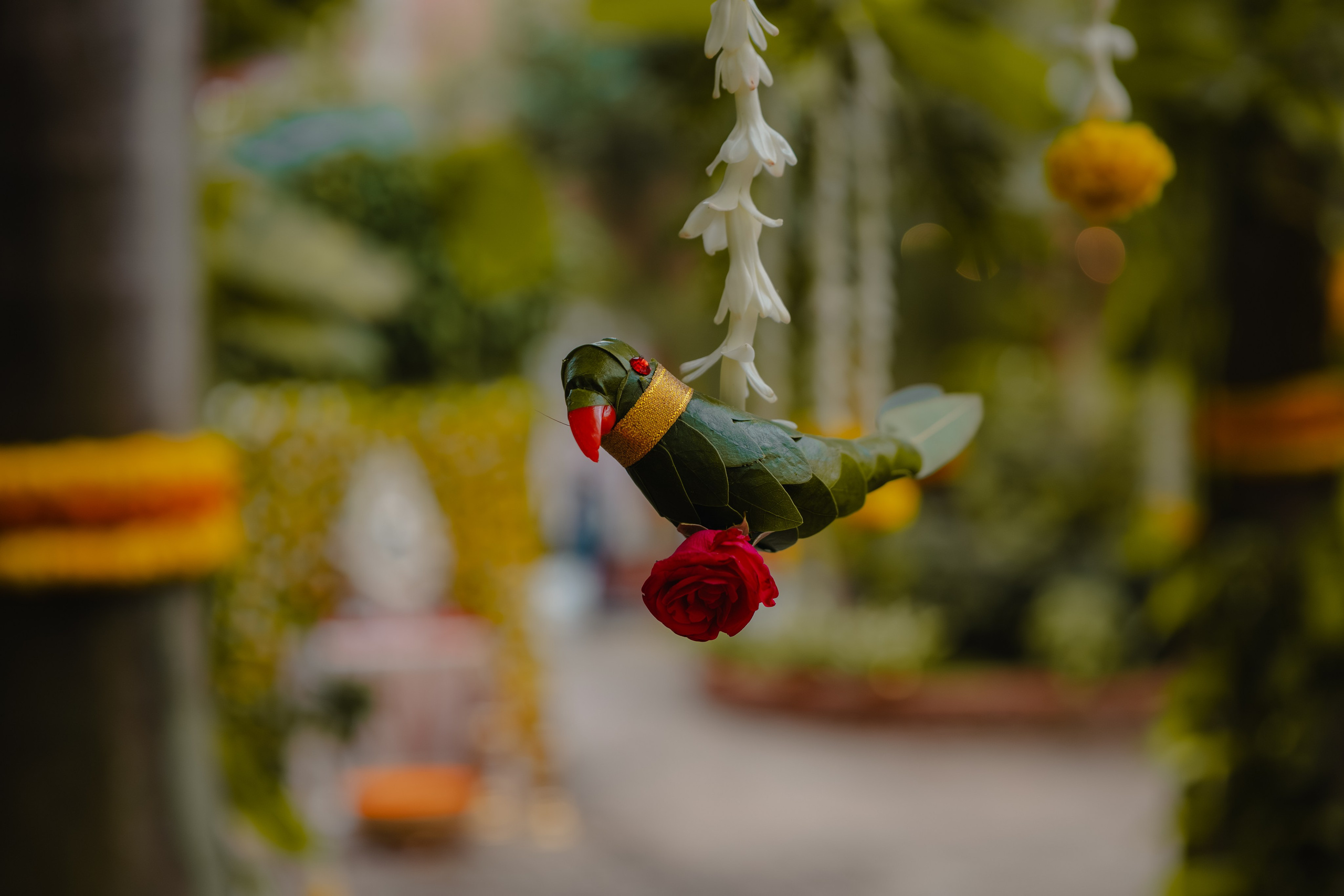 Wedding Shoot. Wedding and Family photographer in india