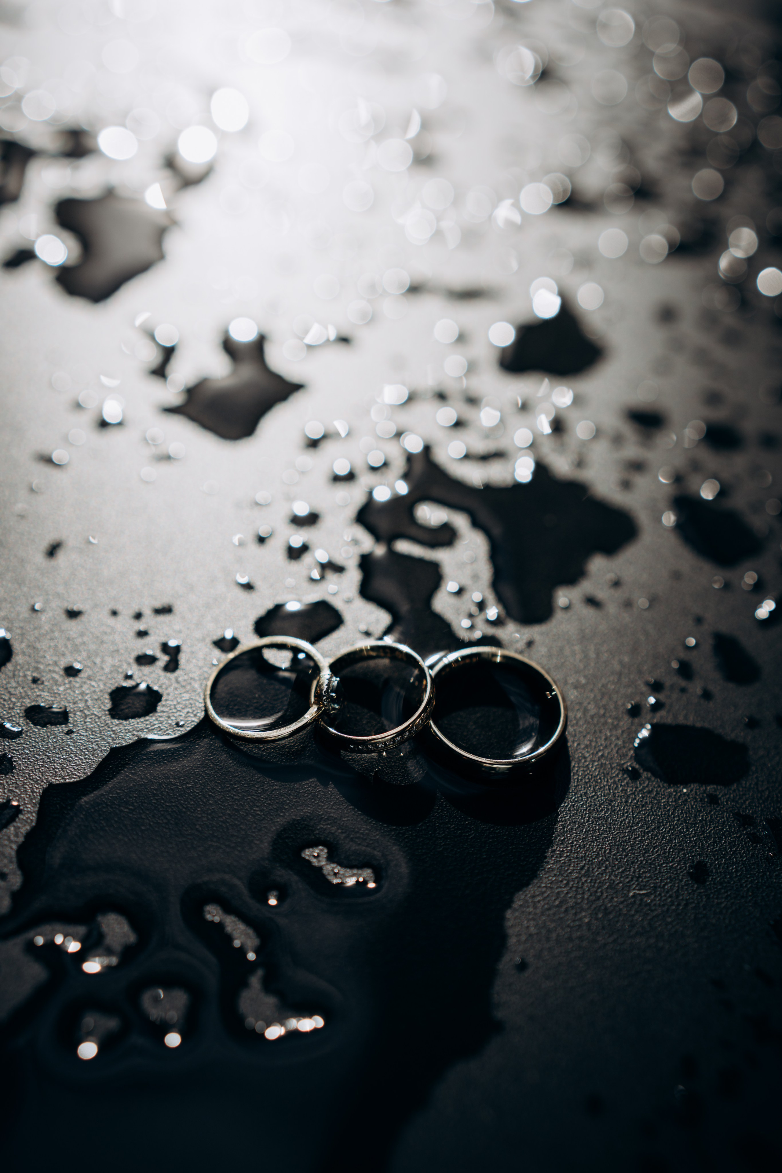 T&M. Photographer Netherlands