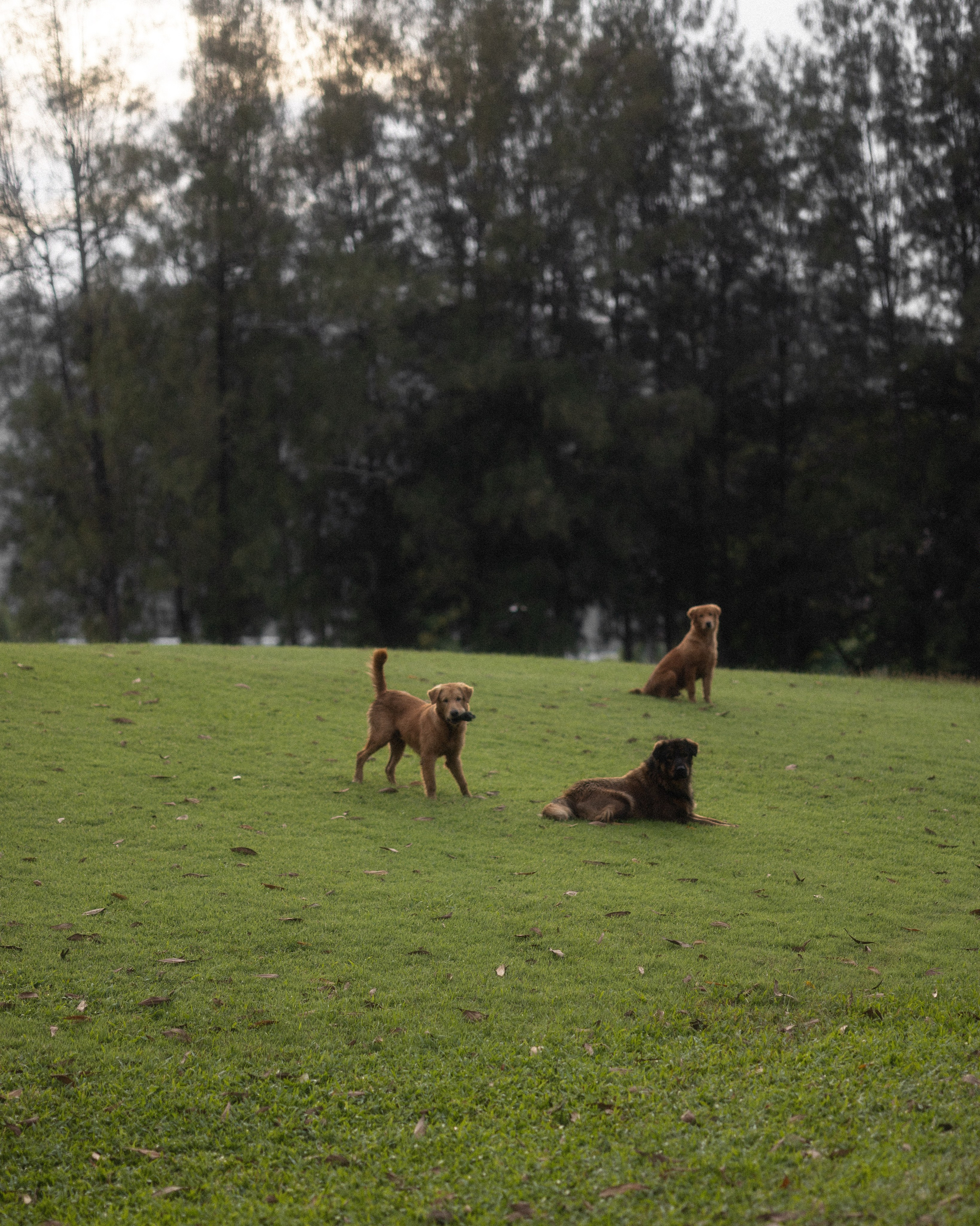 Anastasia. Maria Mishina Photographer Moscow, Phuket