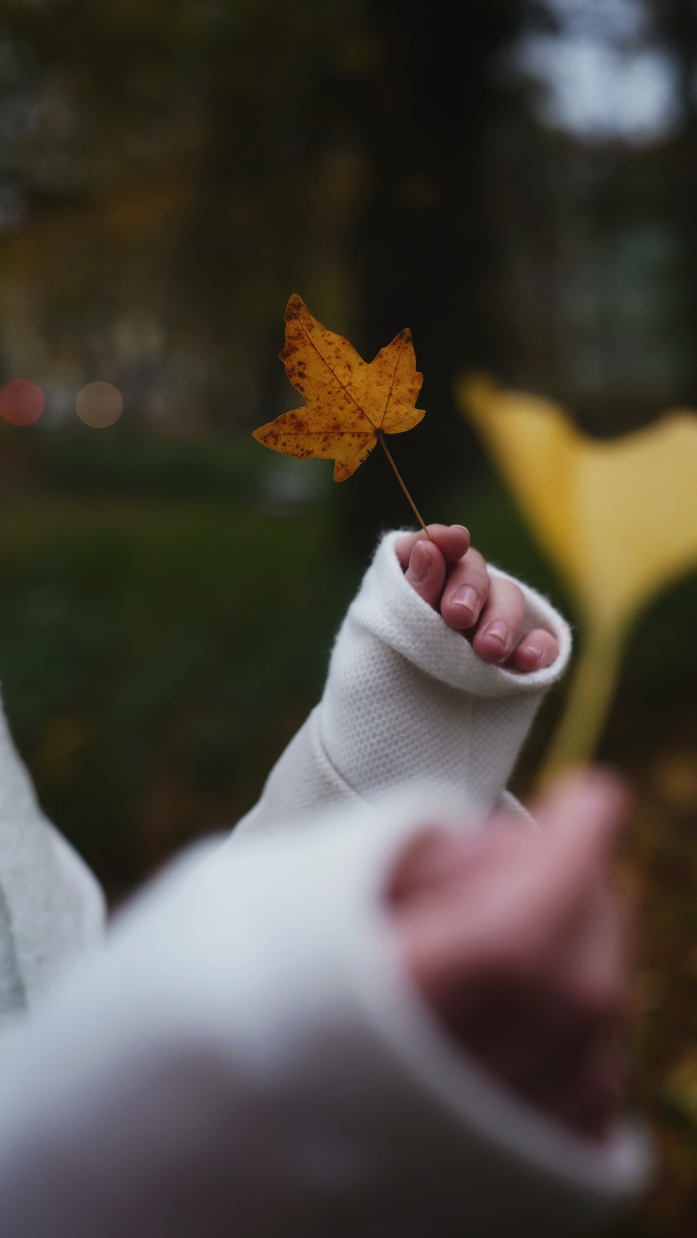 MARIIA - STREET. Content creator | Fotografia | Videografia