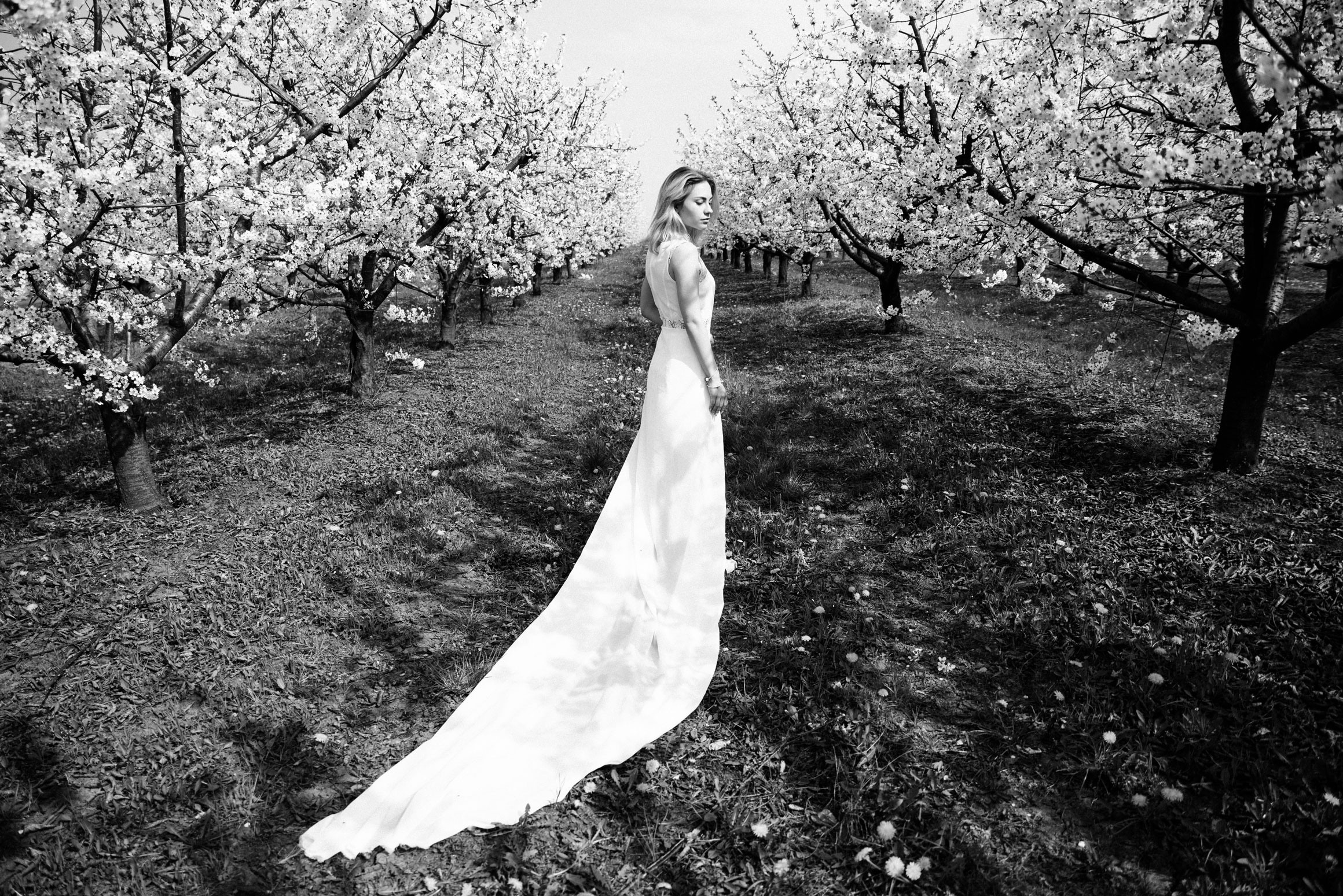 Цветущий сад. Ekaterina Verbitskaya. Photography