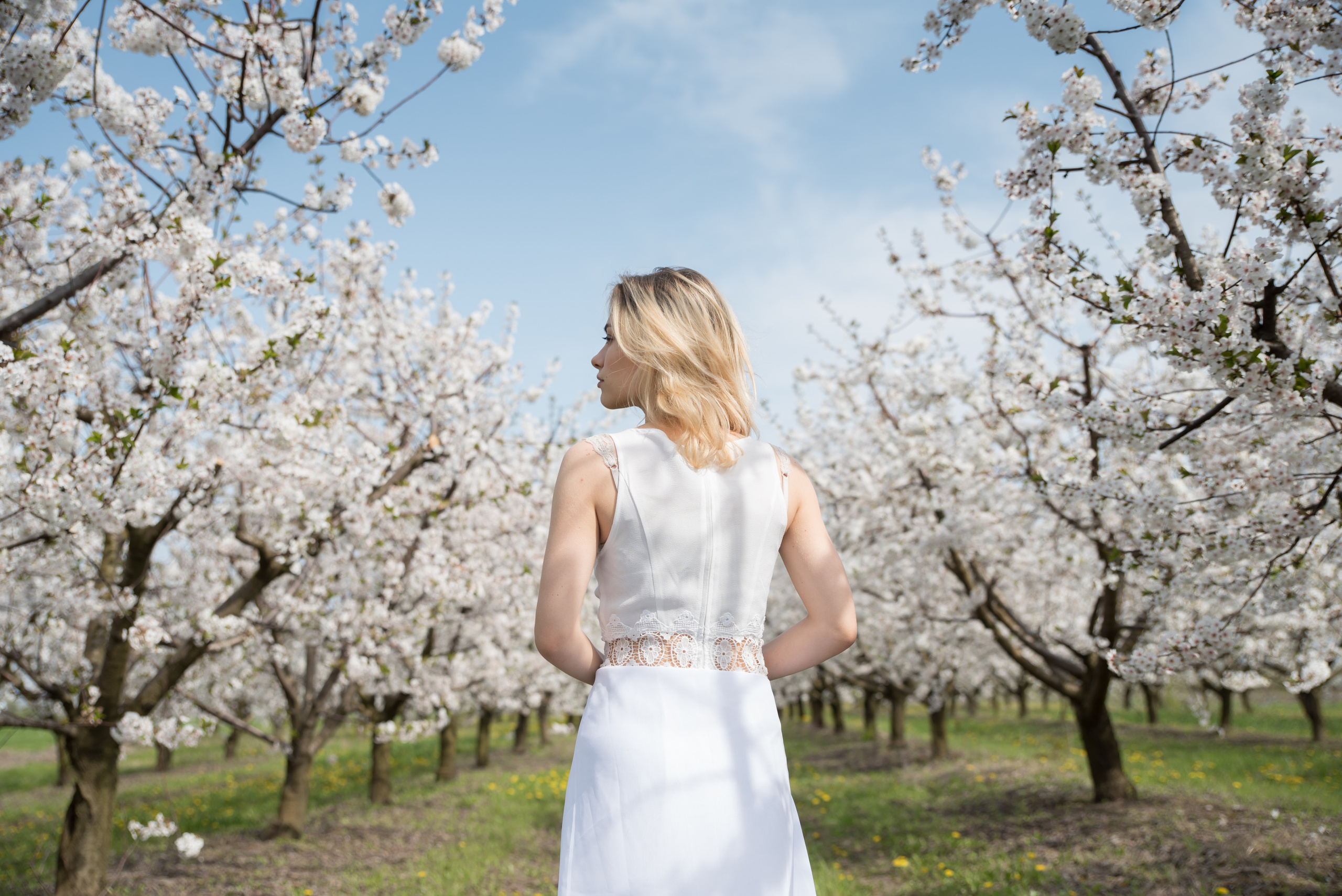 Цветущий сад. Ekaterina Verbitskaya. Photography