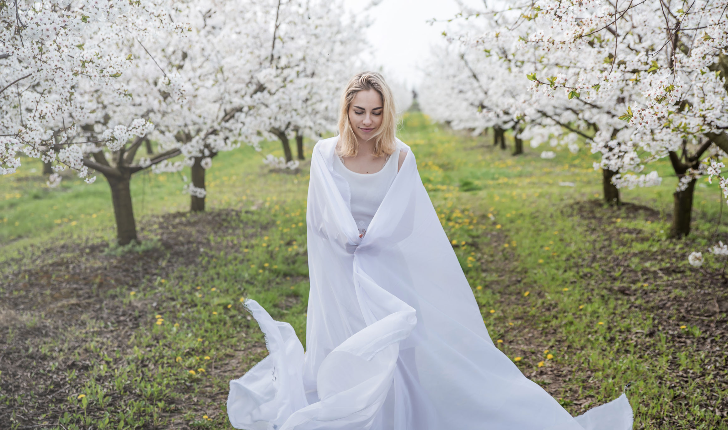 Цветущий сад. Ekaterina Verbitskaya. Photography