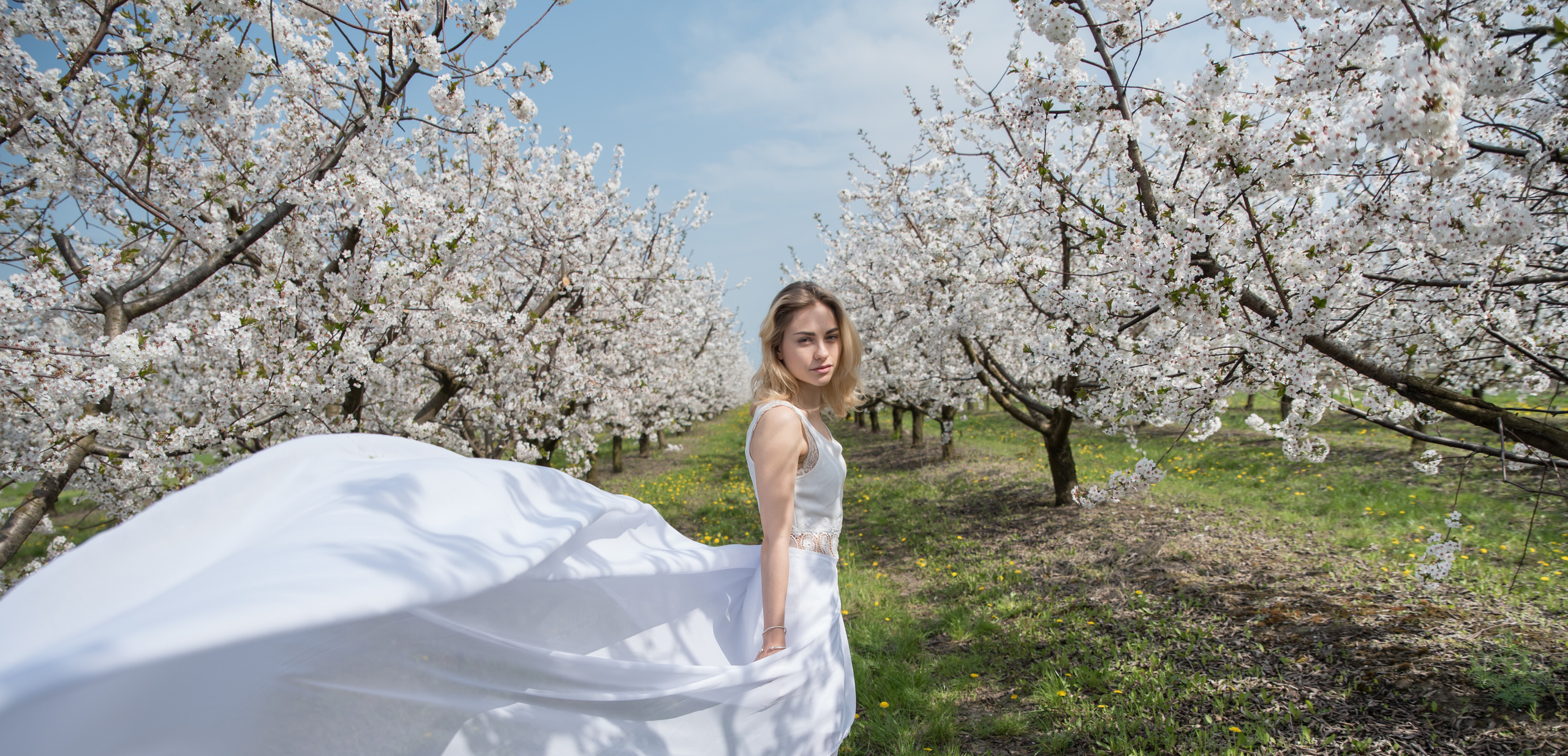 Цветущий сад. Ekaterina Verbitskaya. Photography