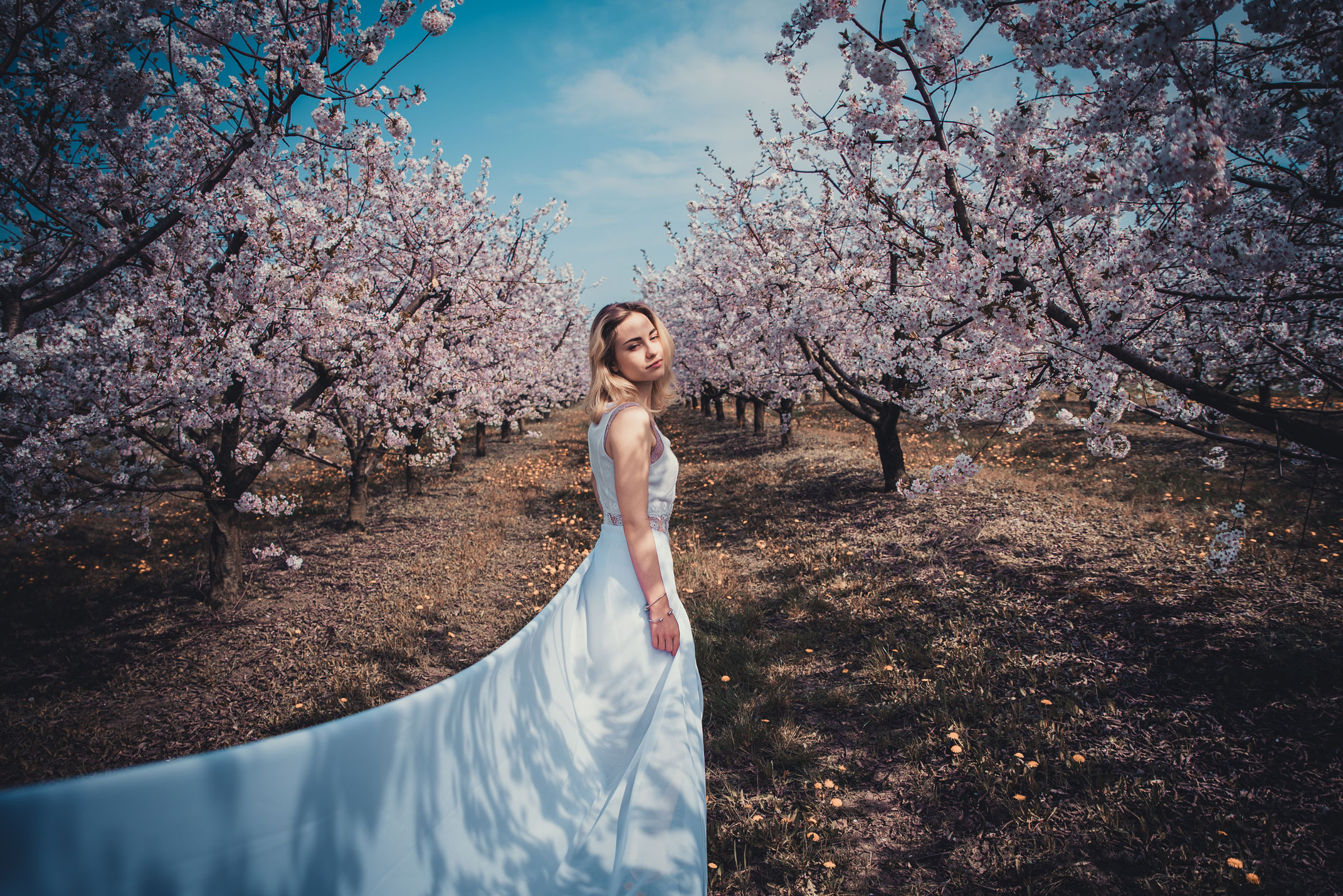 Цветущий сад. Ekaterina Verbitskaya. Photography