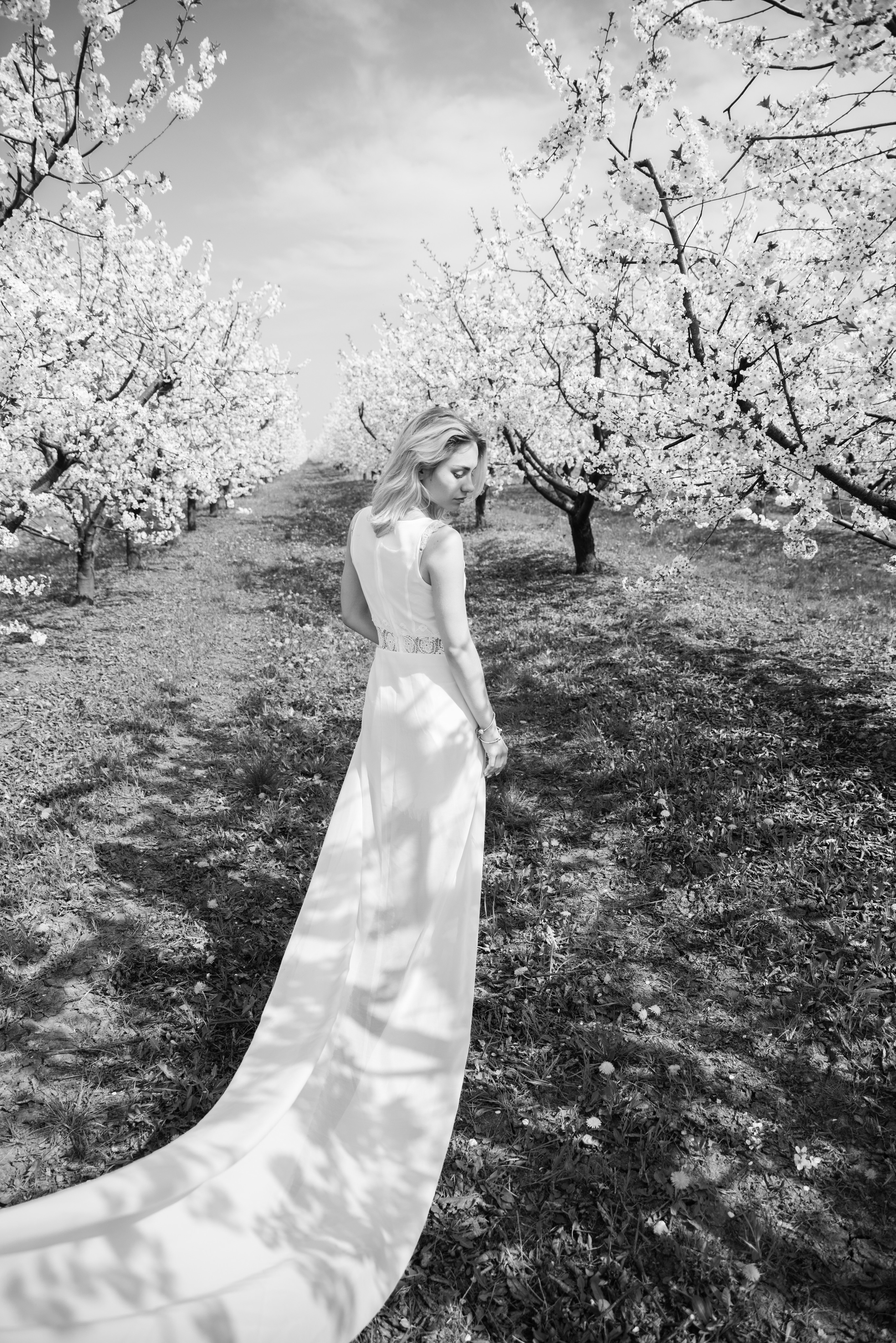 Цветущий сад. Ekaterina Verbitskaya. Photography