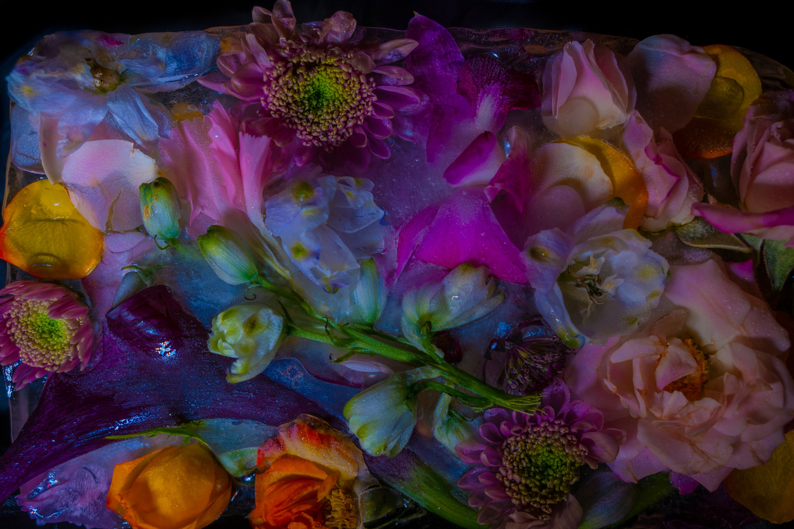 THEME: FLOWERS OF THE SOUL. Anna Omni — concept photographer and digital artist in Riga, Latvia