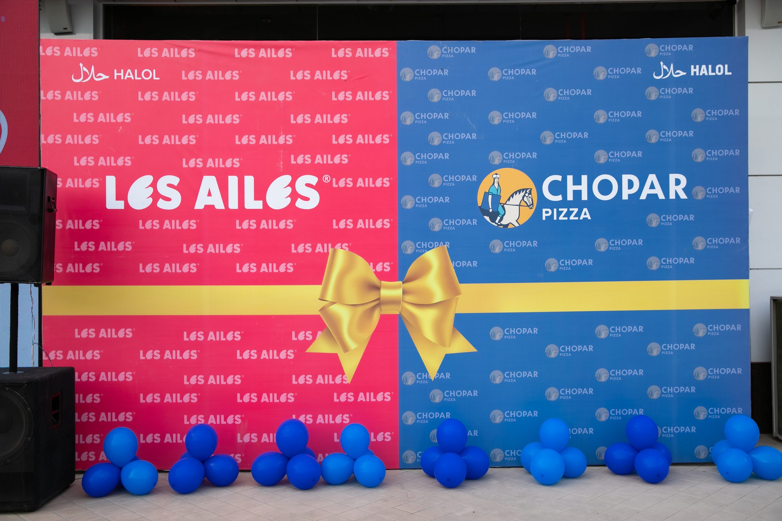 Открытие: LES AILES & CHOPAR. Профессиональная Фото-Видео Студия Геннадия Нестеренко | Ташкент и Весь Узбекистан