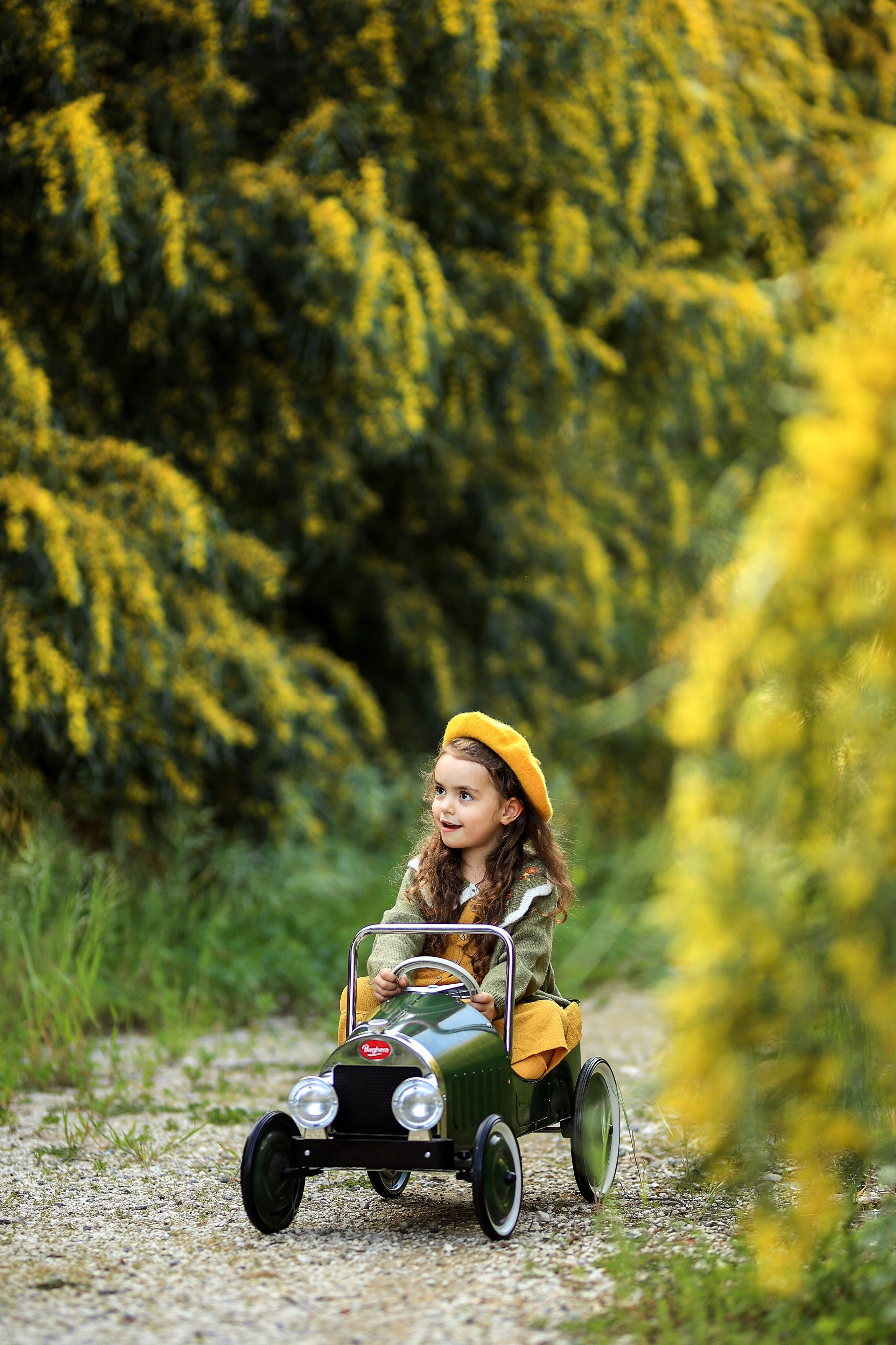 Photoshooting in mimosa. Photographer in Turkey, Antalya, Kemer, Belek, Side, Kas, Fethiye