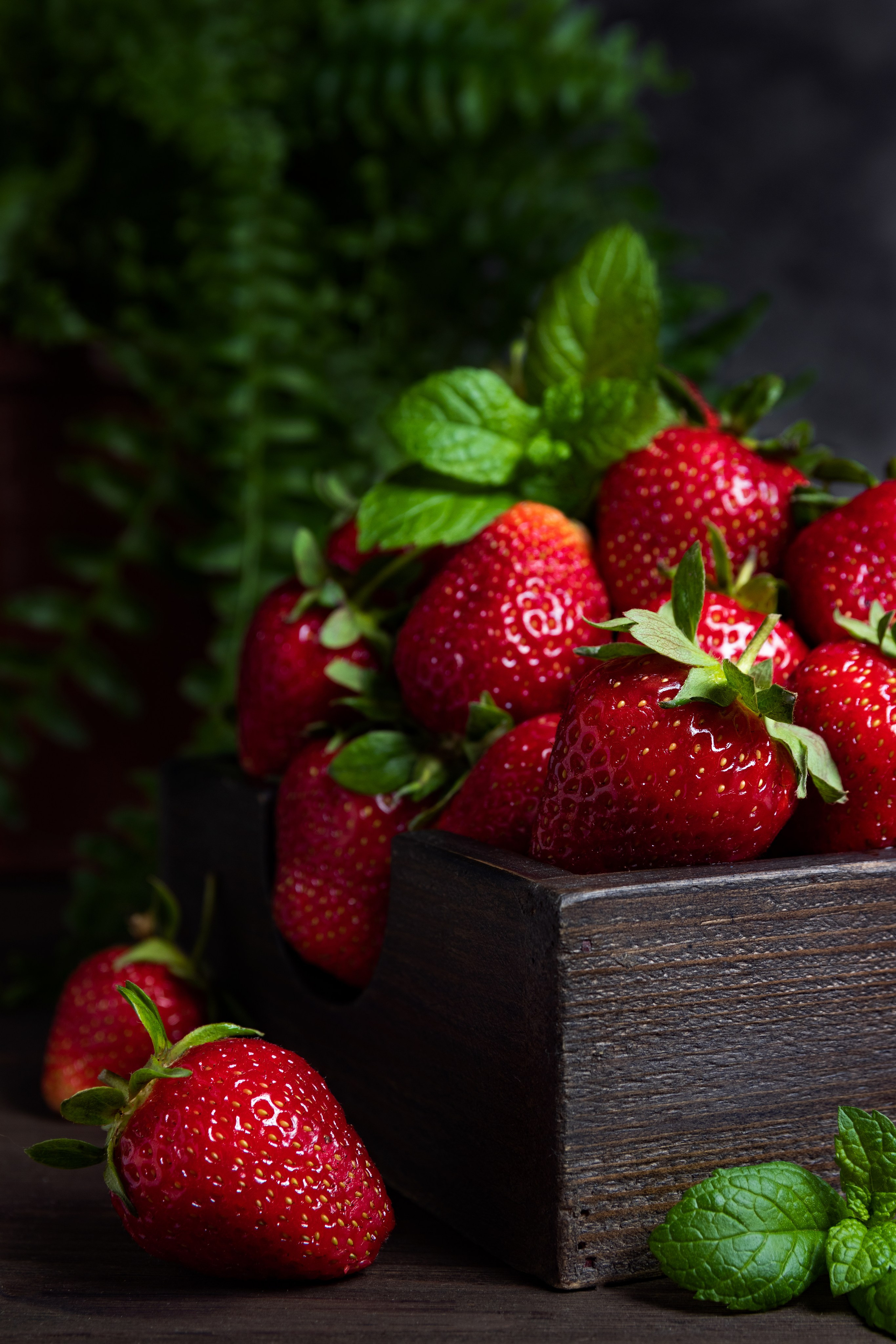 Фуд съемка. Семейный и рекламный фотограф в Ташкенте Мария Кудрявцева