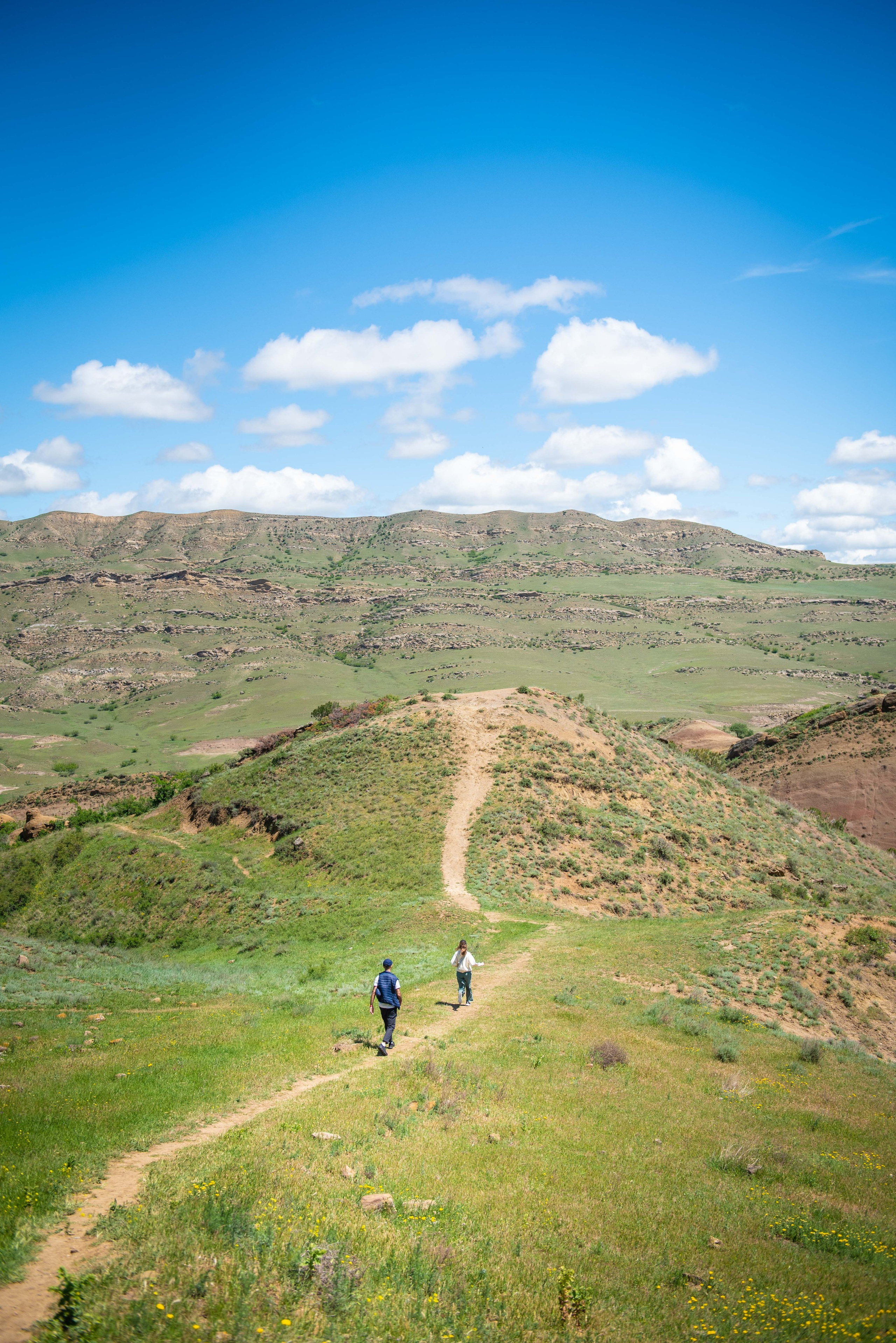 Kakheti. Photographer in Tbilisi