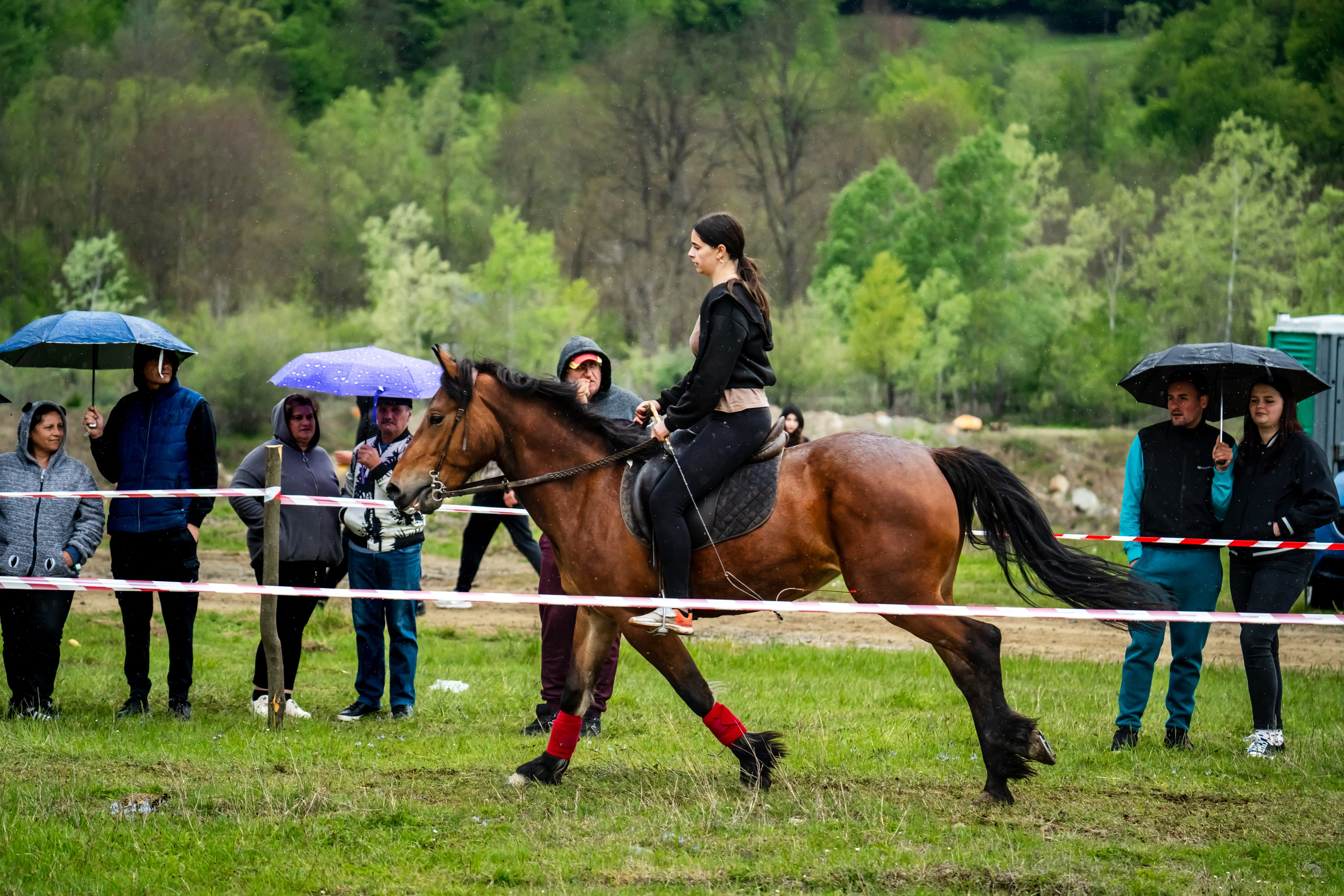 Concurs Ecvestru Vărbilău ediția a 4-a. Mihai Alexandra Events